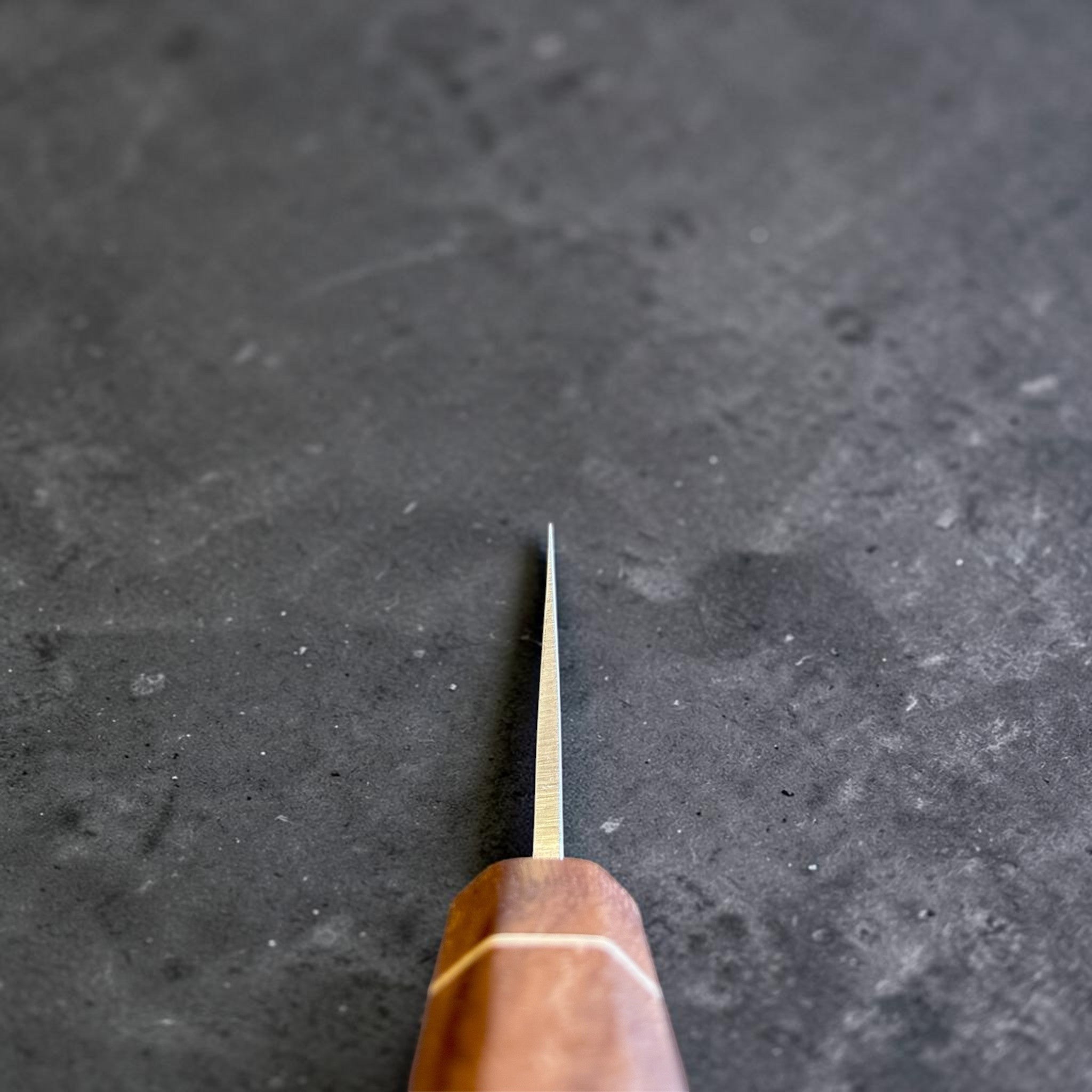 Tokushu Knife Tsuchime SLD Gyuto 210 mm, spine view emphasizing the thin grind and tapered blade geometry.