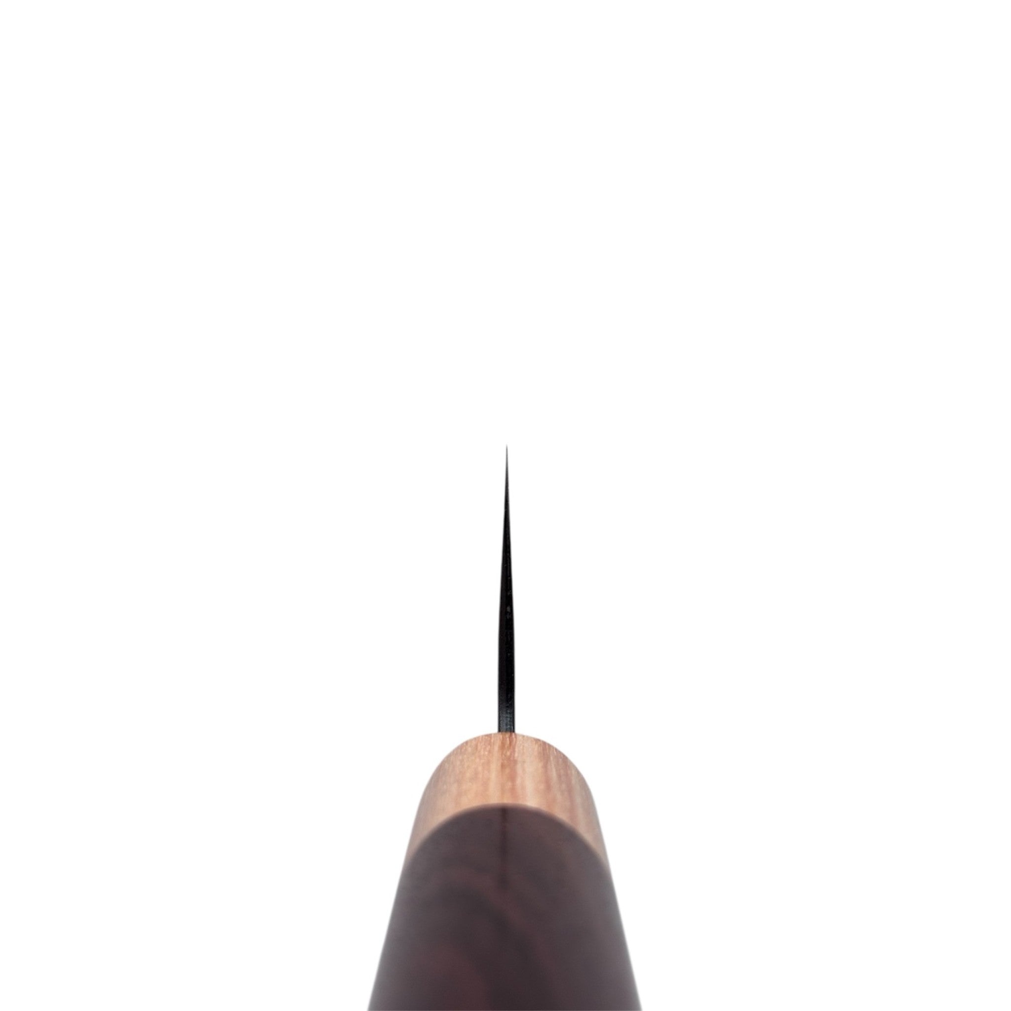 Tsunehisa Aogami Super Kurouchi Tsuchime Gyuto 240 mm Japanese chef knife choil shot.