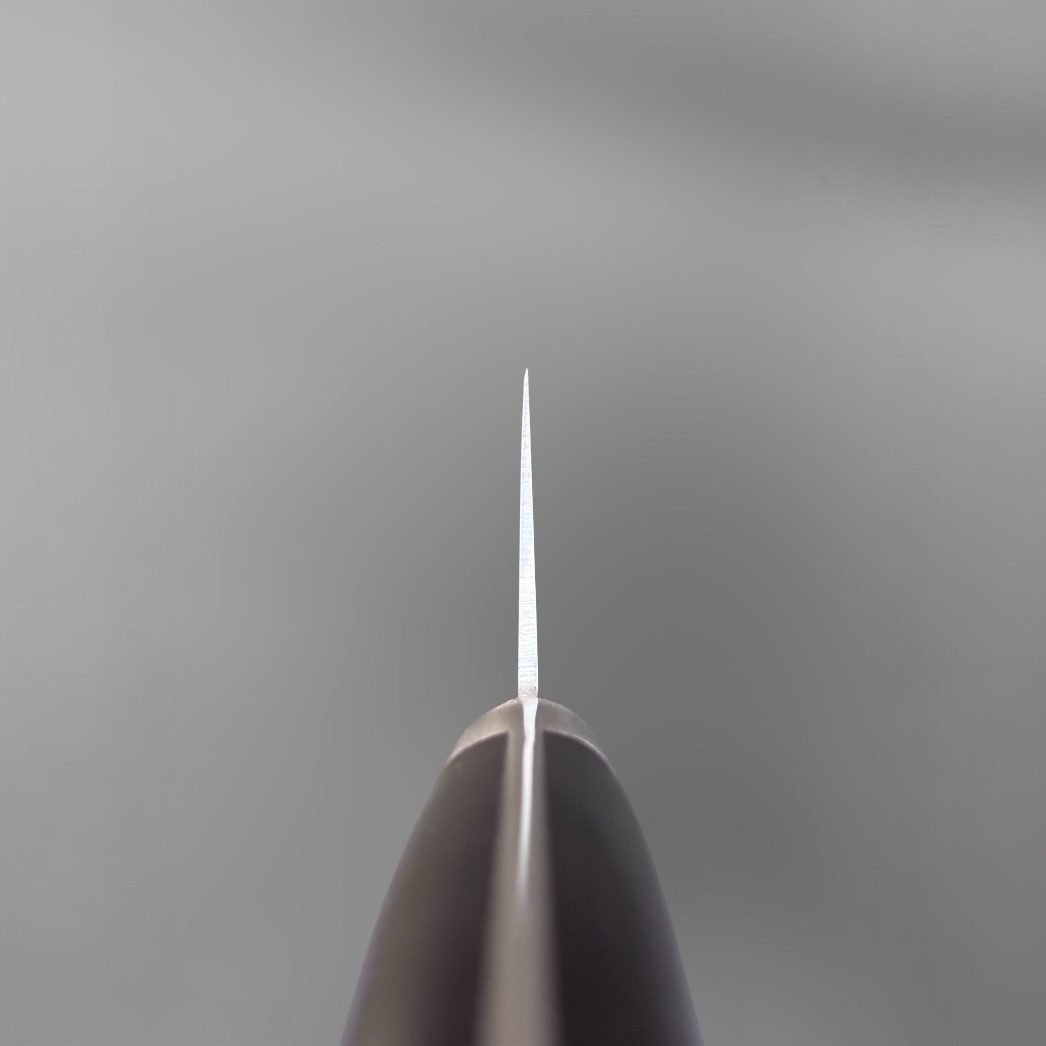 Tsunehisa Mono AUS-8 Gyuto 240 mm with black Western handle, choil view showing thin edge geometry.