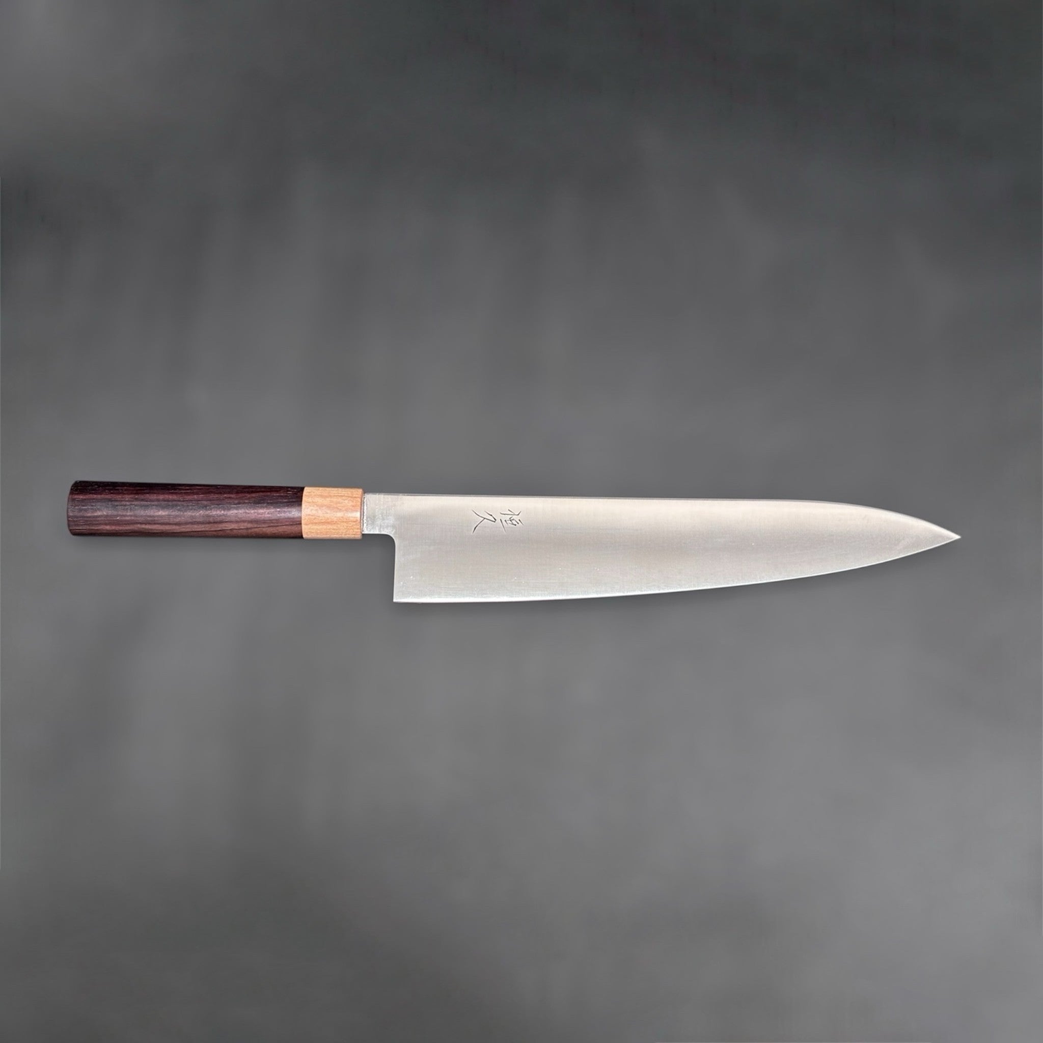 Tsunehisa VG-1 Migaki Gyuto 270 mm Japanese chef knife profile host.