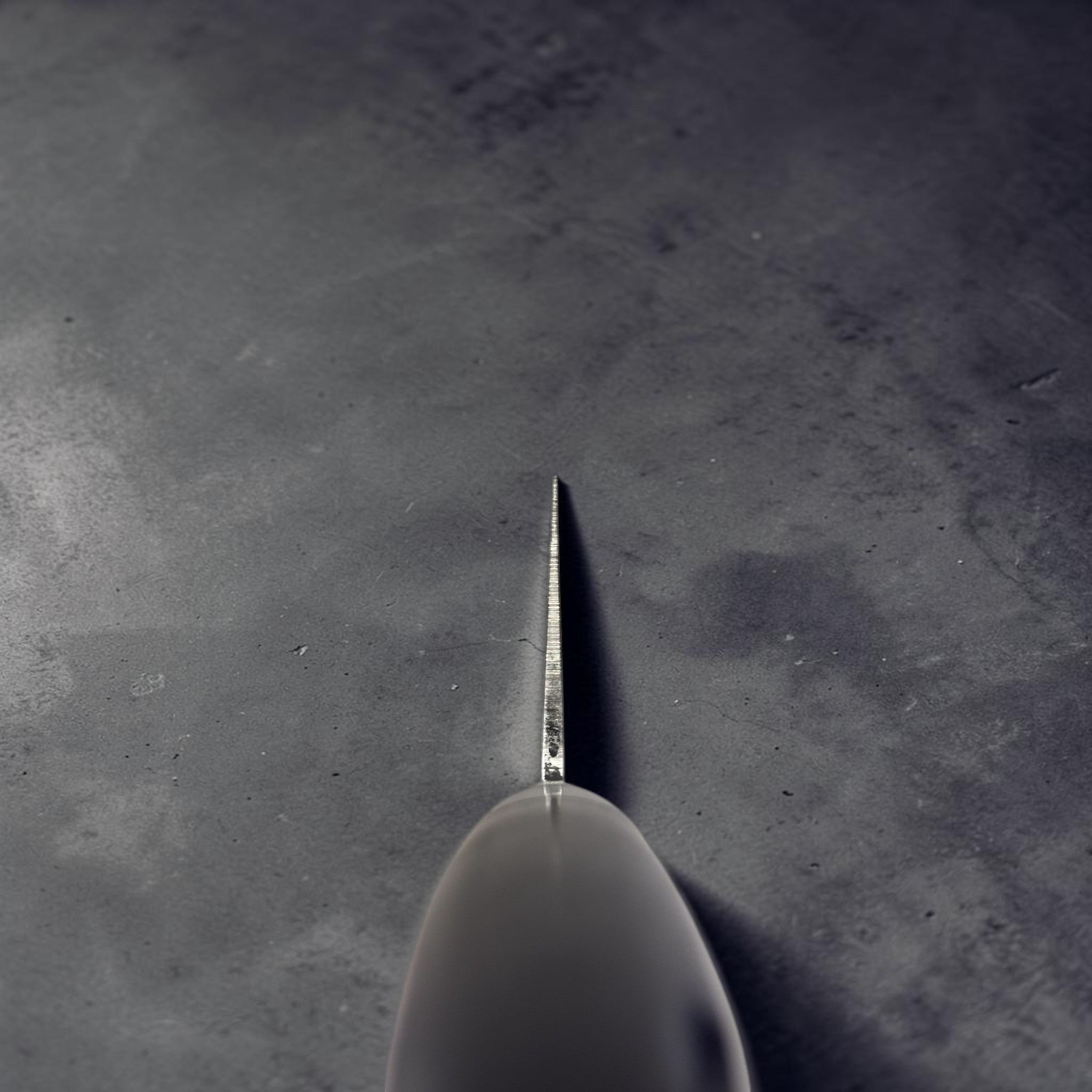 Tsunehisa VG-1 stainless steel Santoku 165 mm with black Western handle, tip-down spine shot showing thin taper and grind at the edge.