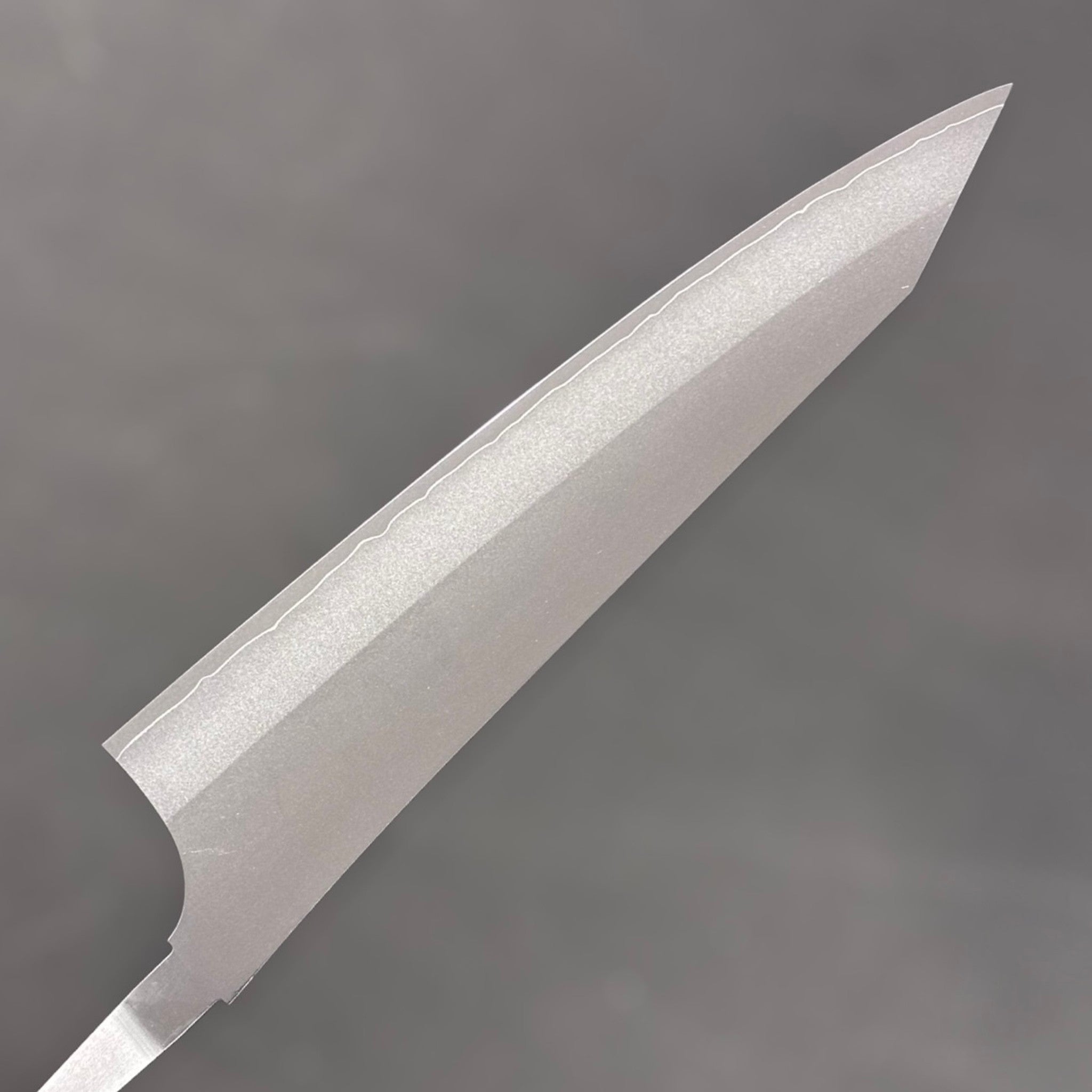 Yu Kurosaki Gekko VG-XEOS Gyuto 210 mm, reverse side close-up highlighting the cladding line and kiritsuke-style tip profile.