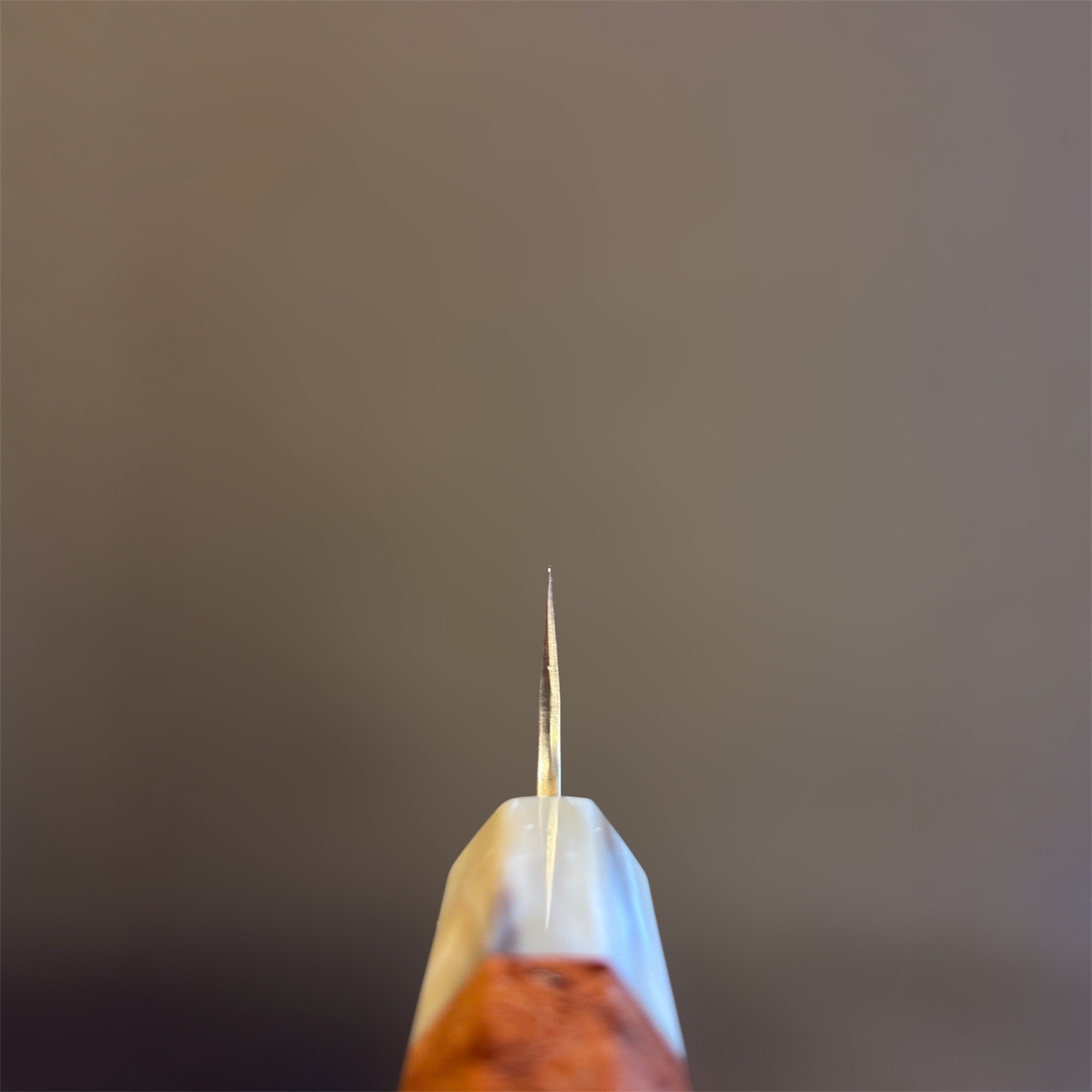 Yu Kurosaki Shizuku SG2 Petty 150 mm with Amboyna burl and buffalo horn ferrule, choil spine view.