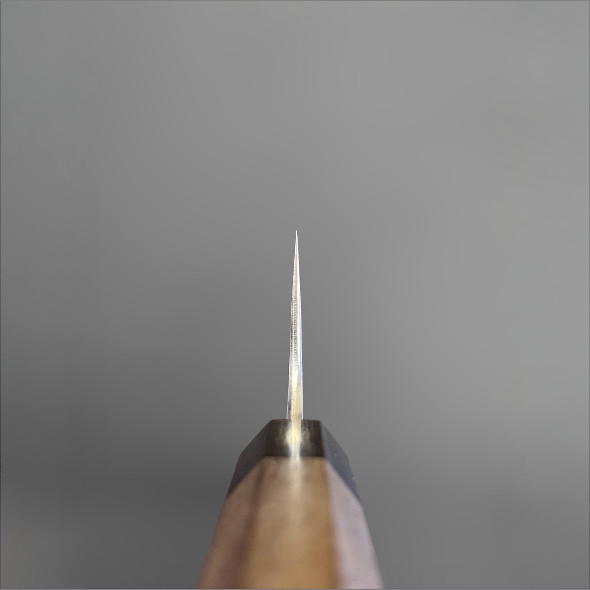 Yu Kurosaki Shizuku SG2 Gyuto 240 mm, choil view showing thin blade geometry and handle alignment.