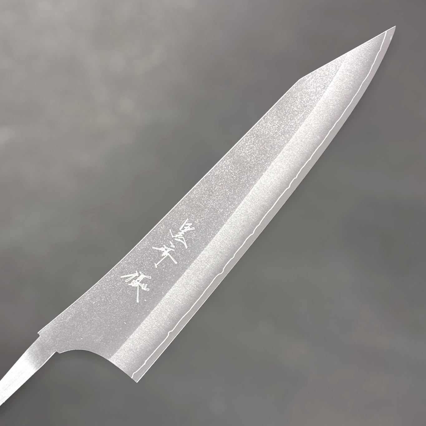u Kurosaki Gekko VG-XEOS Gyuto 240mm no-handle blade side view