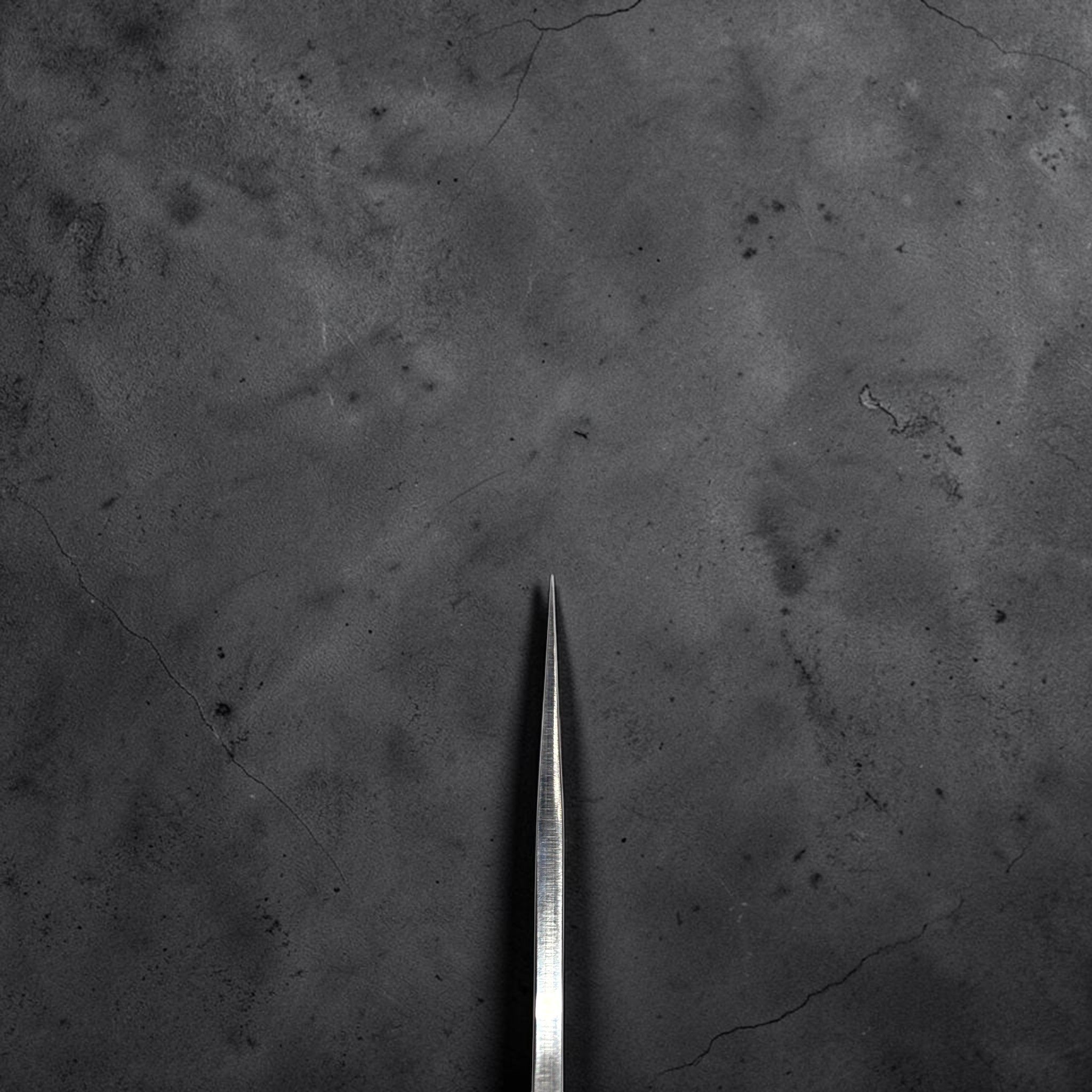 Yu Kurosaki Gekko VG-XEOS Gyuto 240mm choil shot