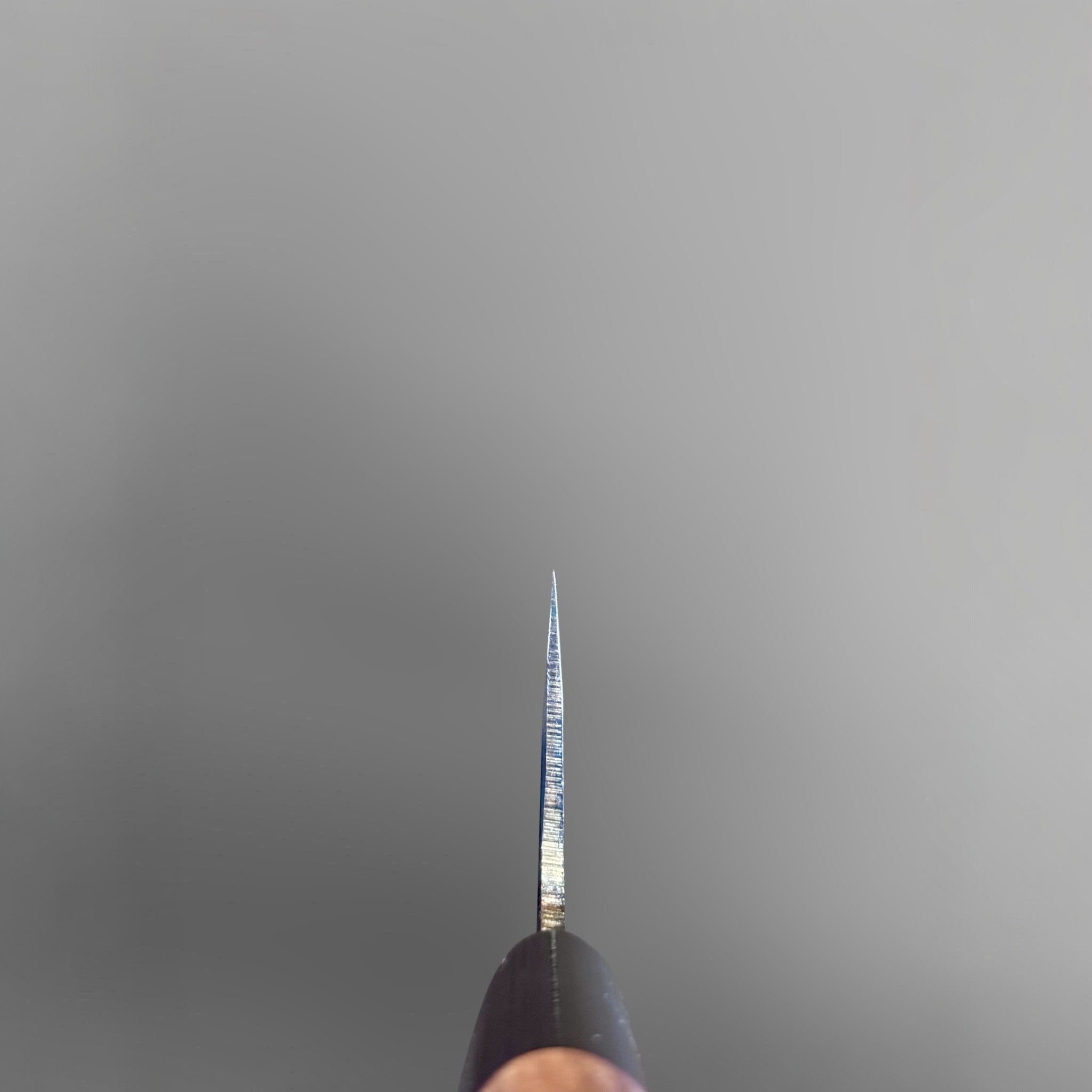 Zakuri AS Kurouchi Bunka 165 mm with kurouchi finish and wa handle, choil view showing spine and edge geometry.