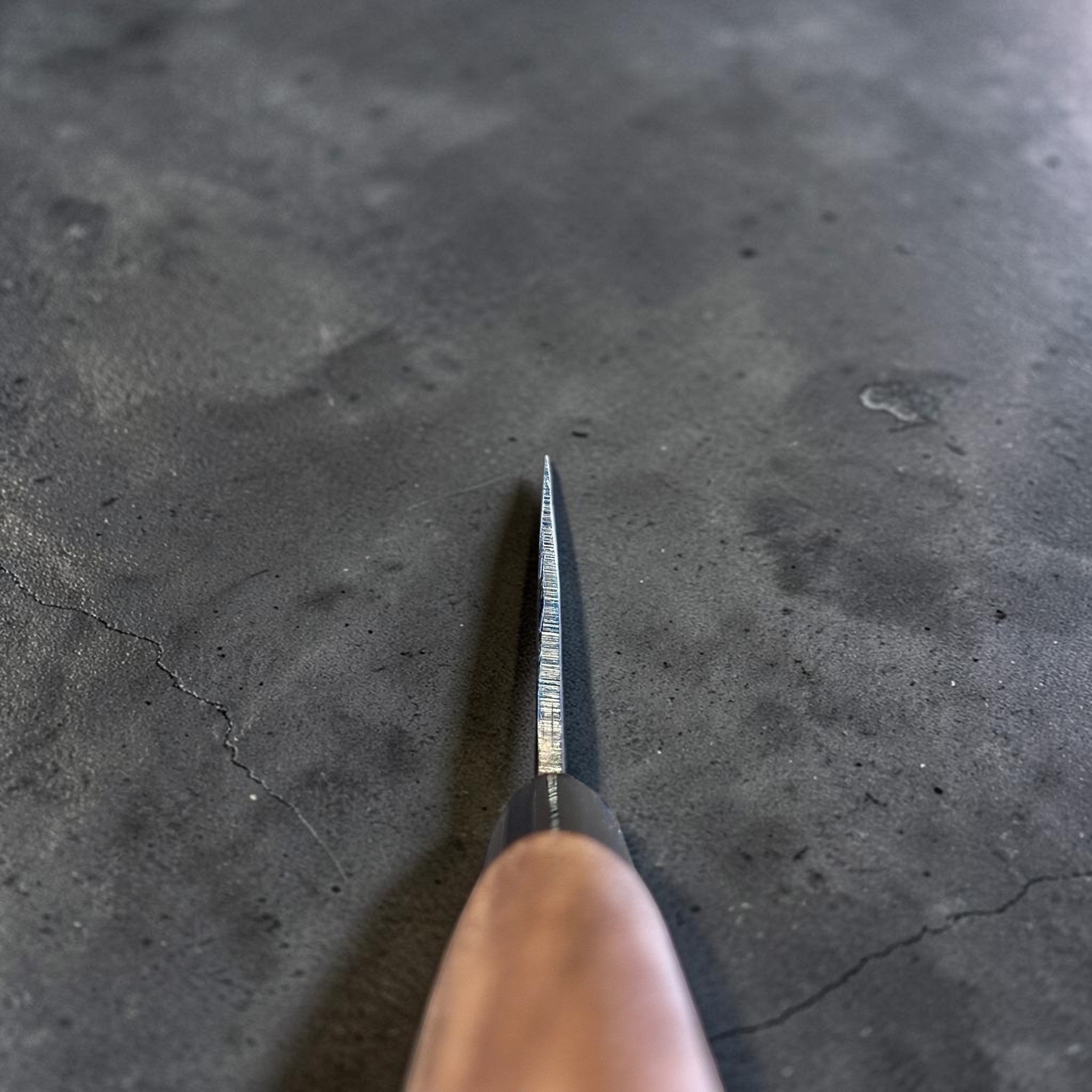 Zakuri AS Kurouchi Gyuto 210 mm, choil view showing thin spine and edge geometry from the handle.