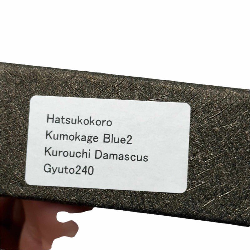 Hatsukokoro Kumokage Damascus Blue#2 240mm Gyuto with Ebony wa Handle - Tokushu Knife