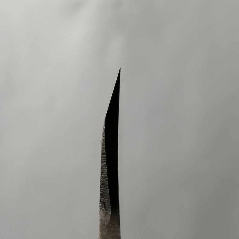 HATSUKOKORO Shirasagi Kurochi Aogami #2 165mm Kiritsuke Deba (No Handle) - Tokushu Knife