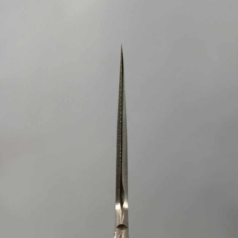 Miyazaki Kajiya Damascus Ginsan 240mm Gyuto (No handle) - Tokushu Knife