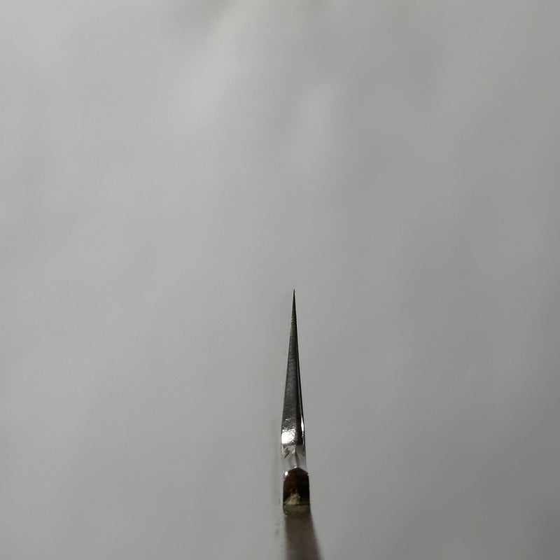 NAKAGAWA X MORIHIRO Blue #1 Damascus 240mm Sujihiki (no handle) - Tokushu Knife
