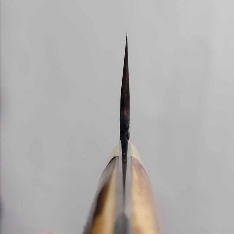Takeshi Saji VG-10 Tsuchime Polished 210mm Gyuto With Western Yellow Horn Handle - Tokushu Knife