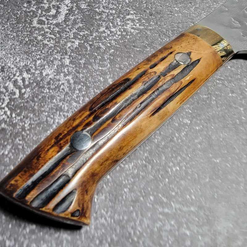 Takeshi Saji VG-10 Tsuchime Polished 210mm Gyuto With Western Yellow Horn Handle - Tokushu Knife