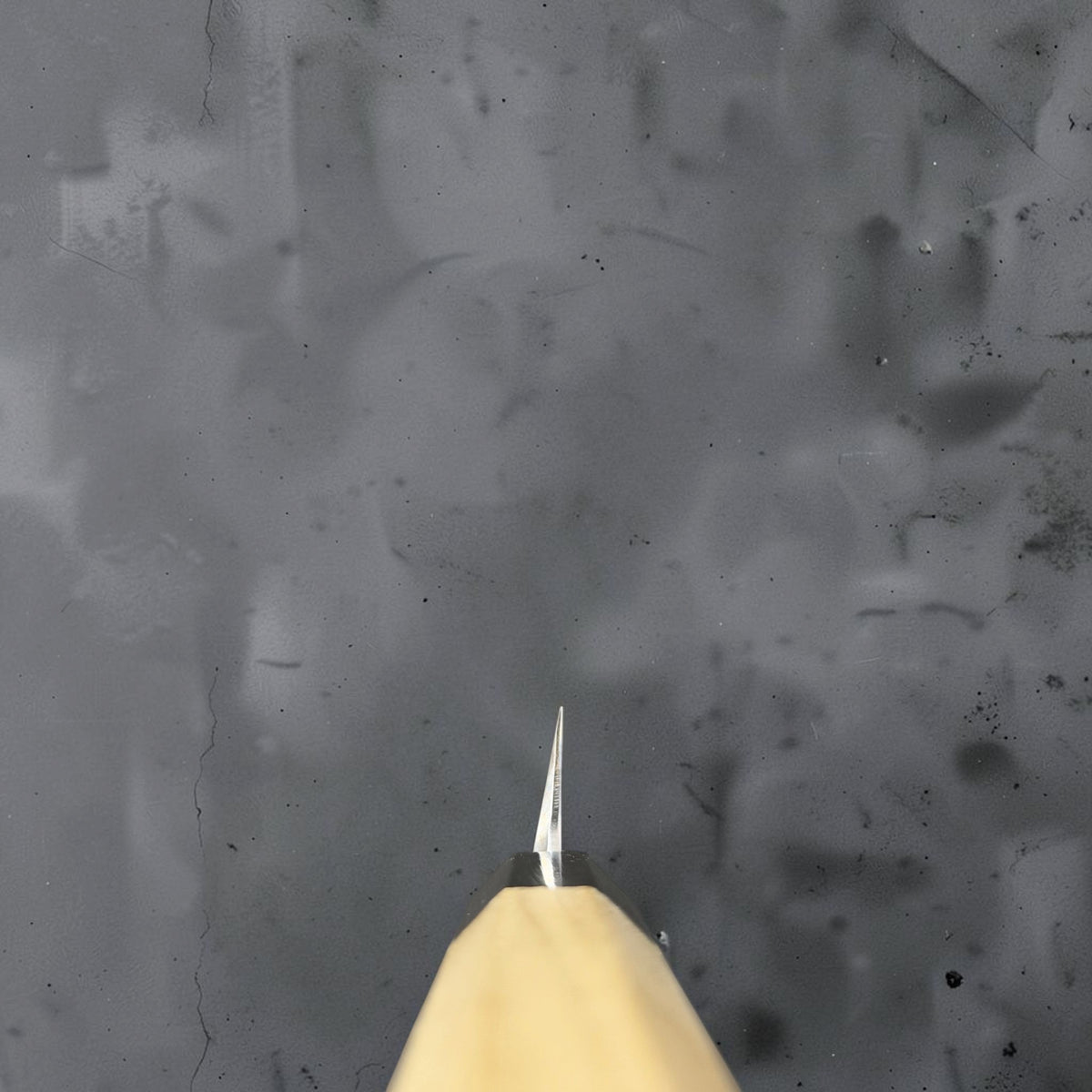 Choil view of Yoshikazu Tanaka sakimaru yanagiba showing single-bevel blade geometry