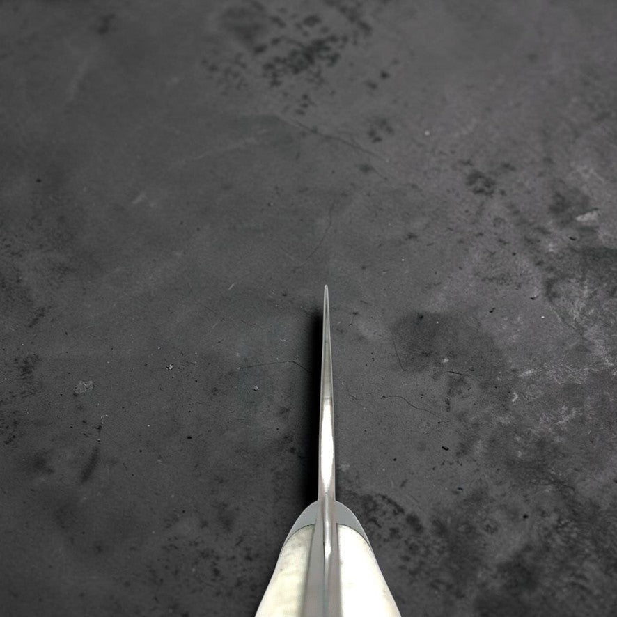 Takeshi Saji Blue #2 240mm Rainbow Gyuto with Cow Horn Handle