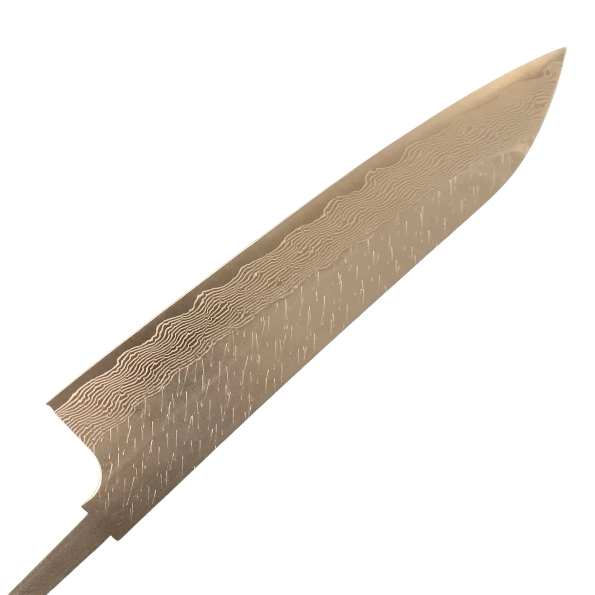 Nigara SG-STRIX Gyuto 240mm spine thickness close-up