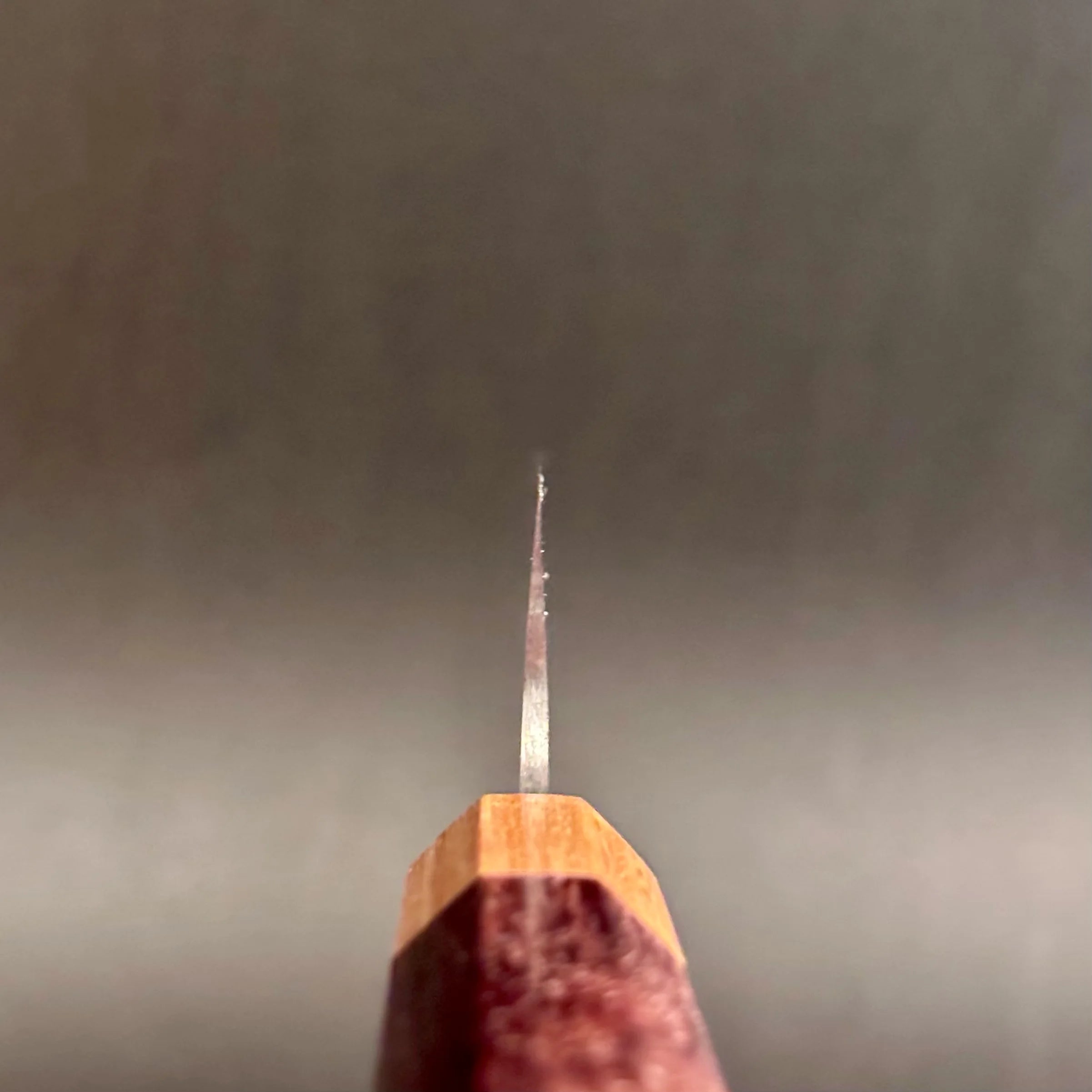 Takeshi Saji VG-10 Rainbow Sujihiki 240mm choil shot