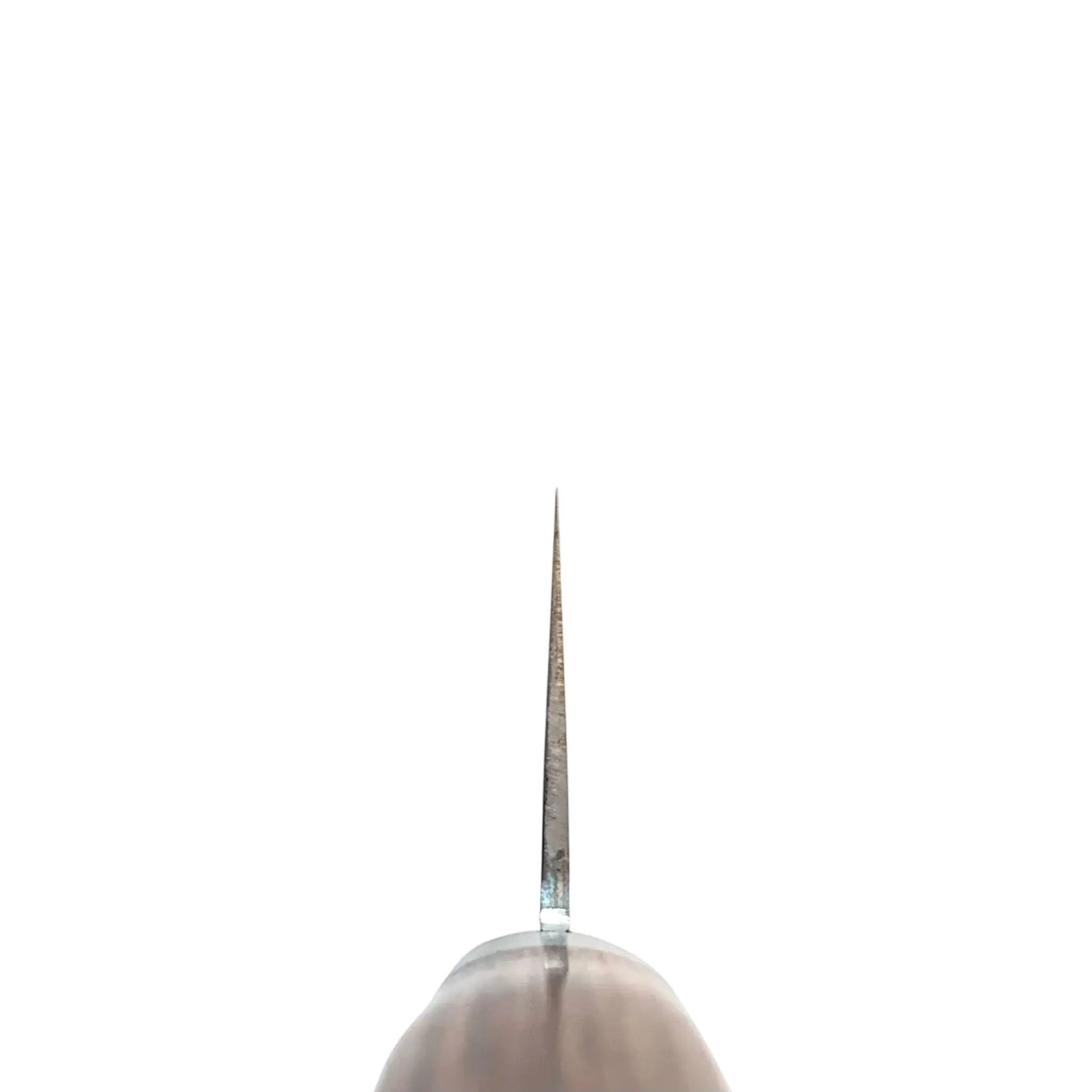 Tsunehisa VG-1 Gyuto spine thickness view