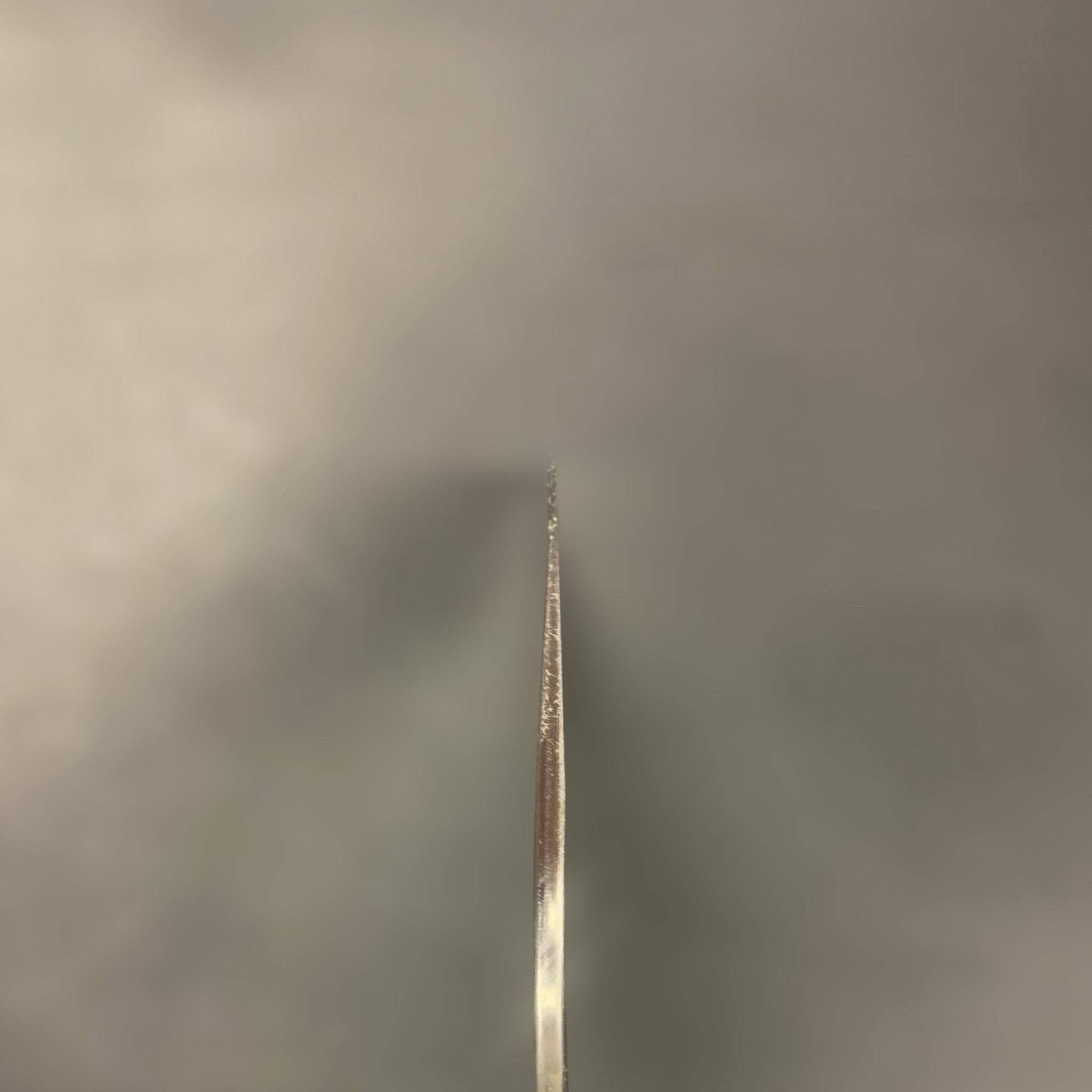 Daruma Hamono Ginsan #3 Migaki Gyuto 240mm blade-only, product photo choil shot.