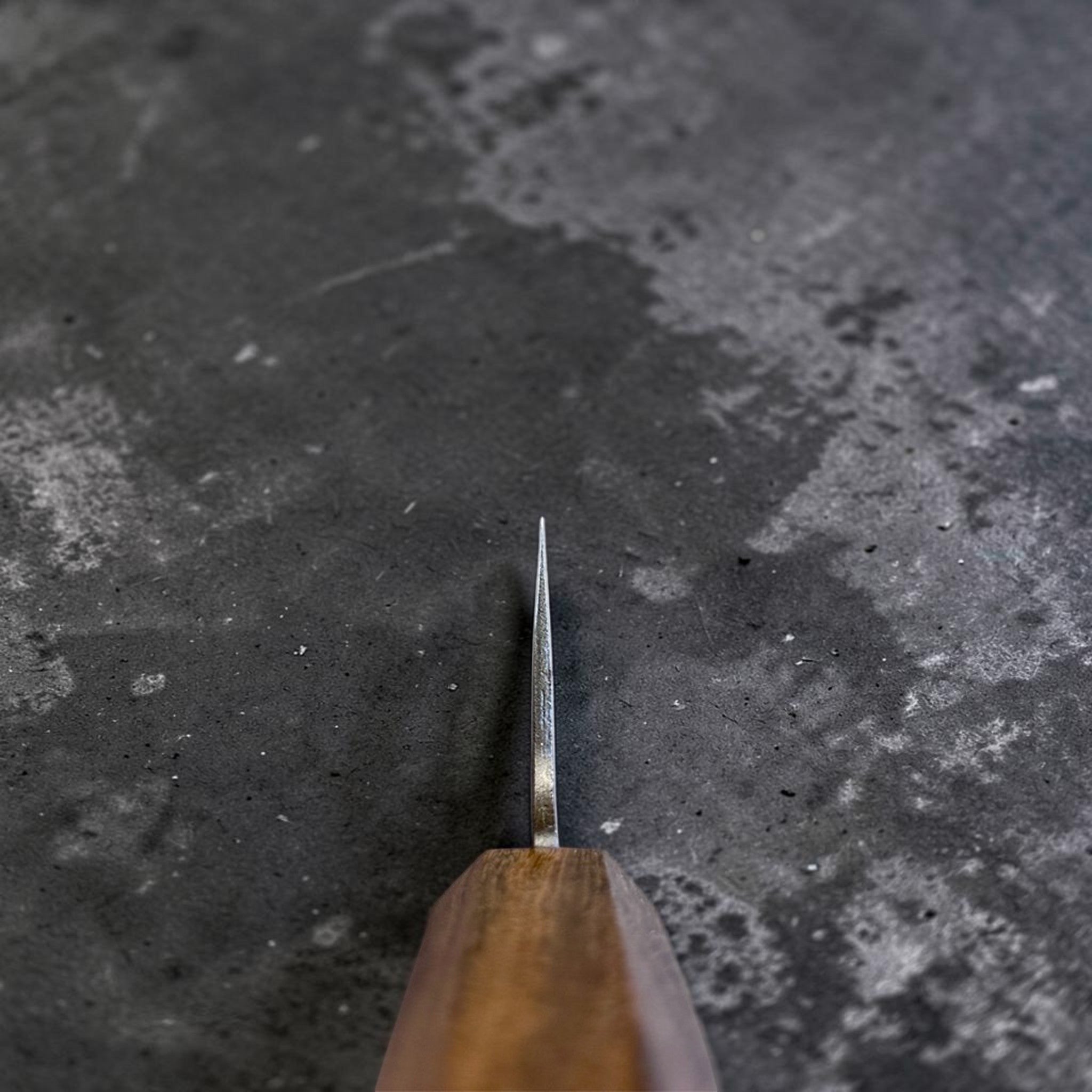 Hatsukokoro Blue #2 Kurouchi Gyuto 220 mm, choil shot showing distal taper and blade thickness.