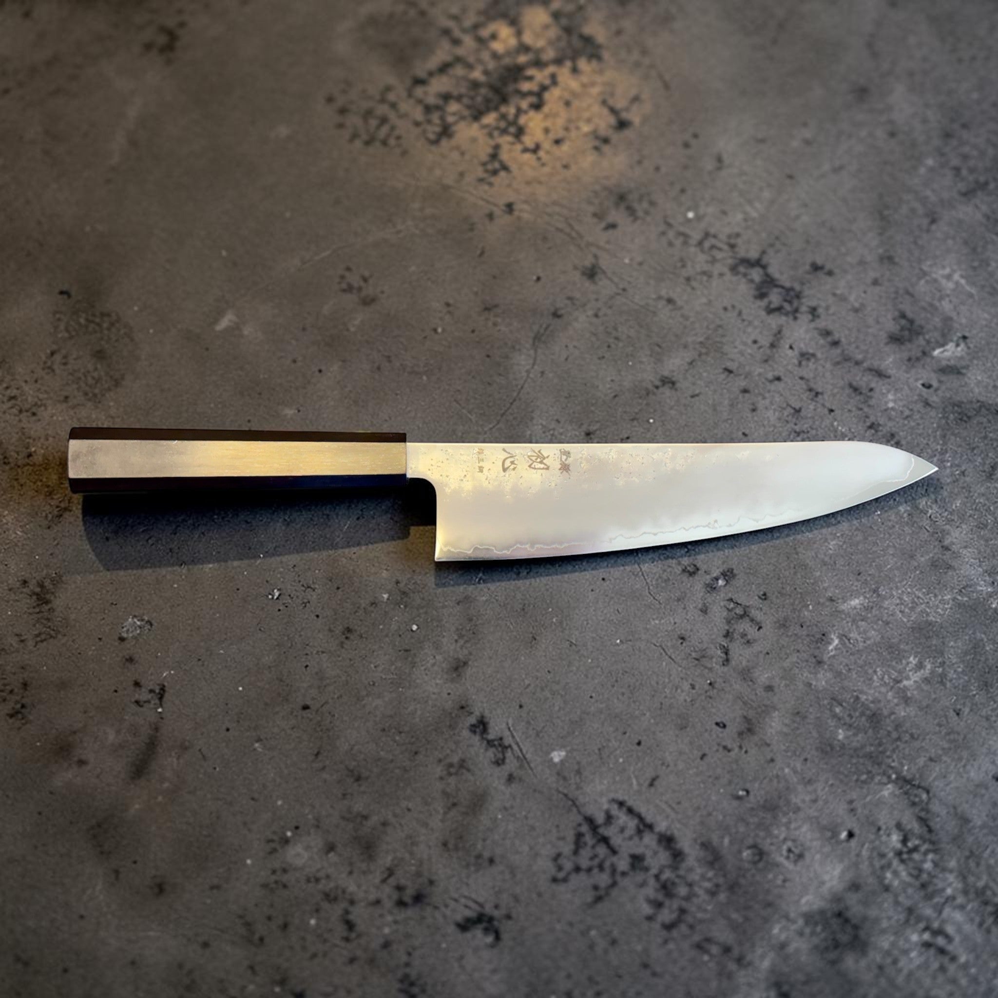 Hatsukokoro Ginrei Silver #3 Gyuto 210 mm with mono ebony handle, horizontal full profile view.