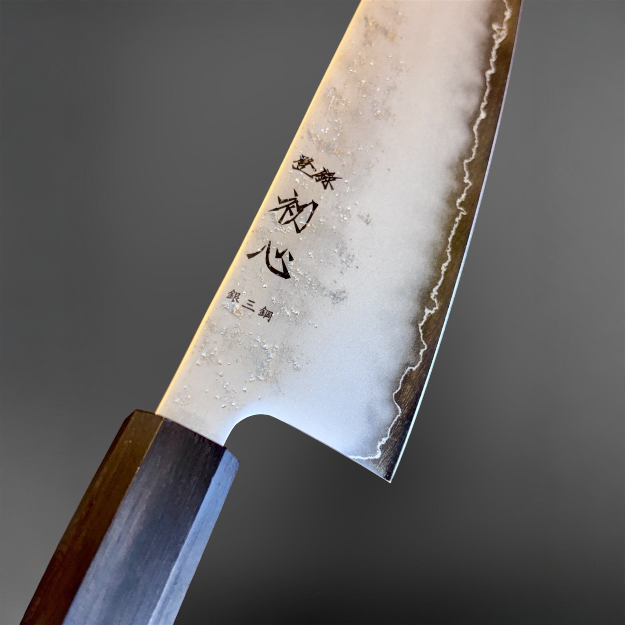 Hatsukokoro Ginrei Silver #3 Gyuto 210 mm with mono ebony handle, close-up of blade finish and kanji.