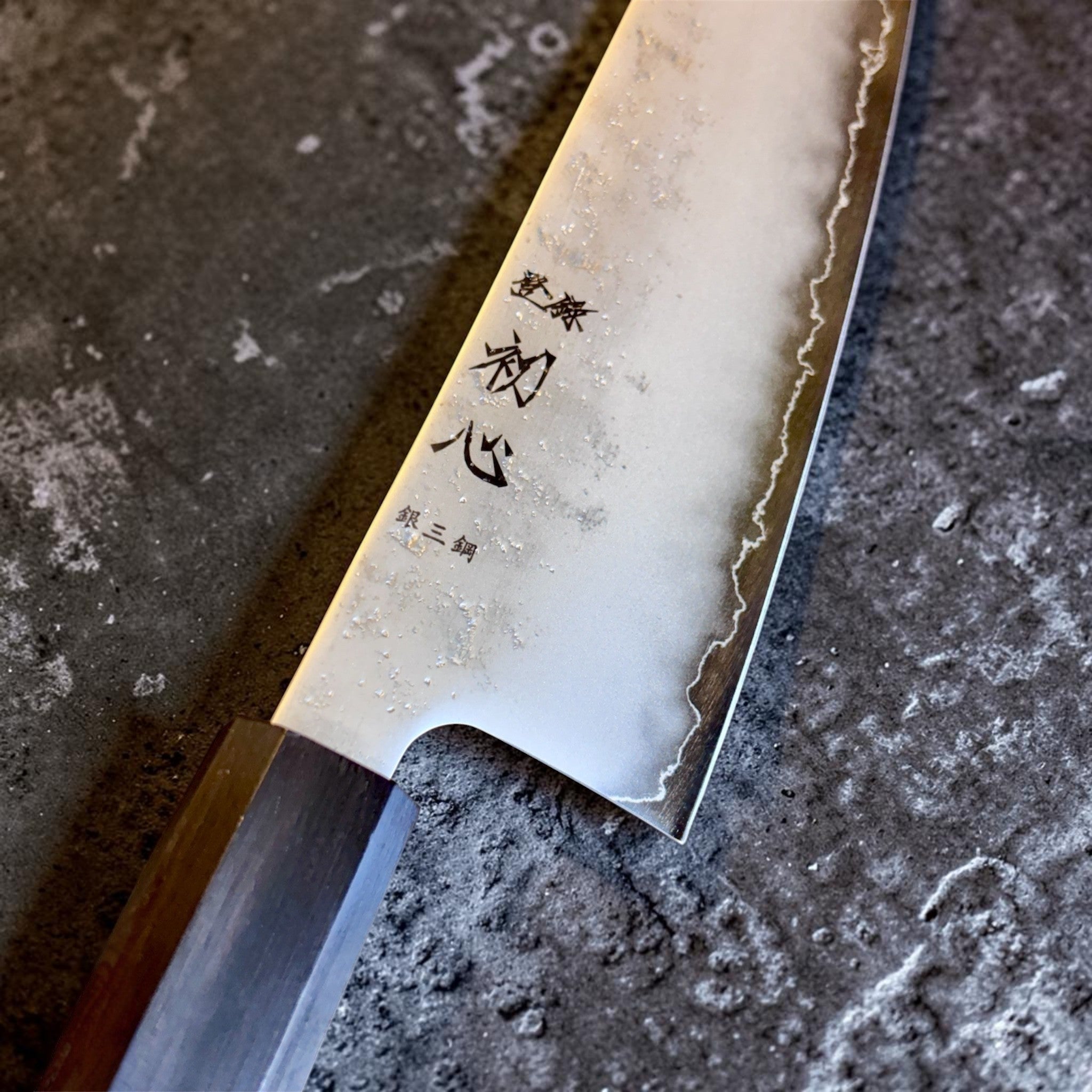 Hatsukokoro Ginrei Silver #3 Gyuto 210 mm with mono ebony handle, close-up of blade finish and kanji.