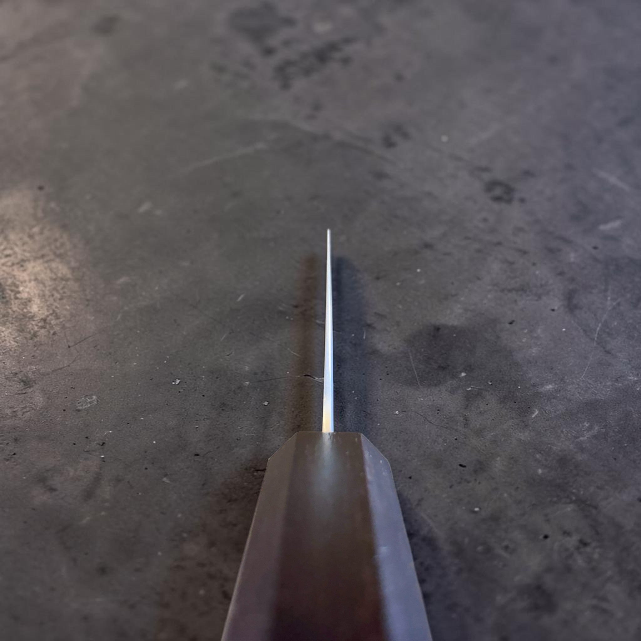 Hatsukokoro Ginrei Silver #3 Gyuto 210 mm with mono ebony handle, choil view showing grind and edge geometry.