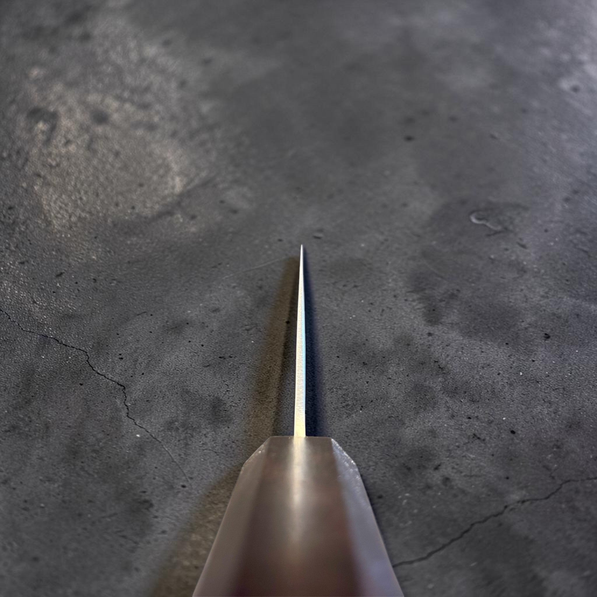 Hatsukokoro Ginrei Silver #3 Nakiri with mono ebony handle, choil view showing thin blade geometry.