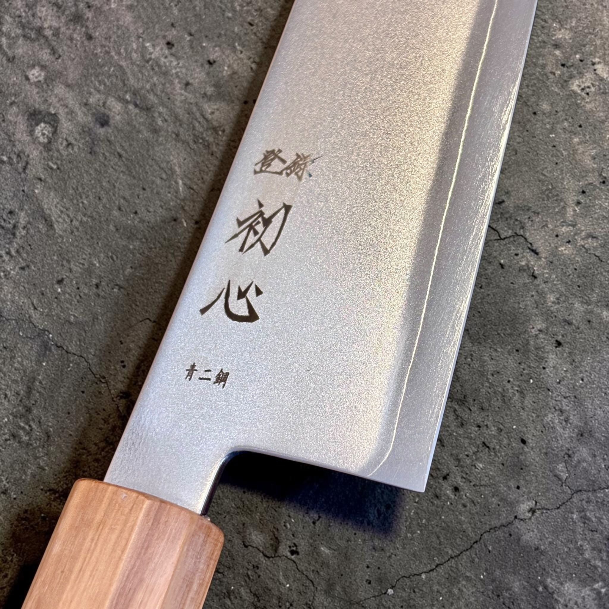 Hatsukokoro Kaijin Blue #2 Gyuto 210 mm, close-up of blade kanji and satin-finished steel near the heel.