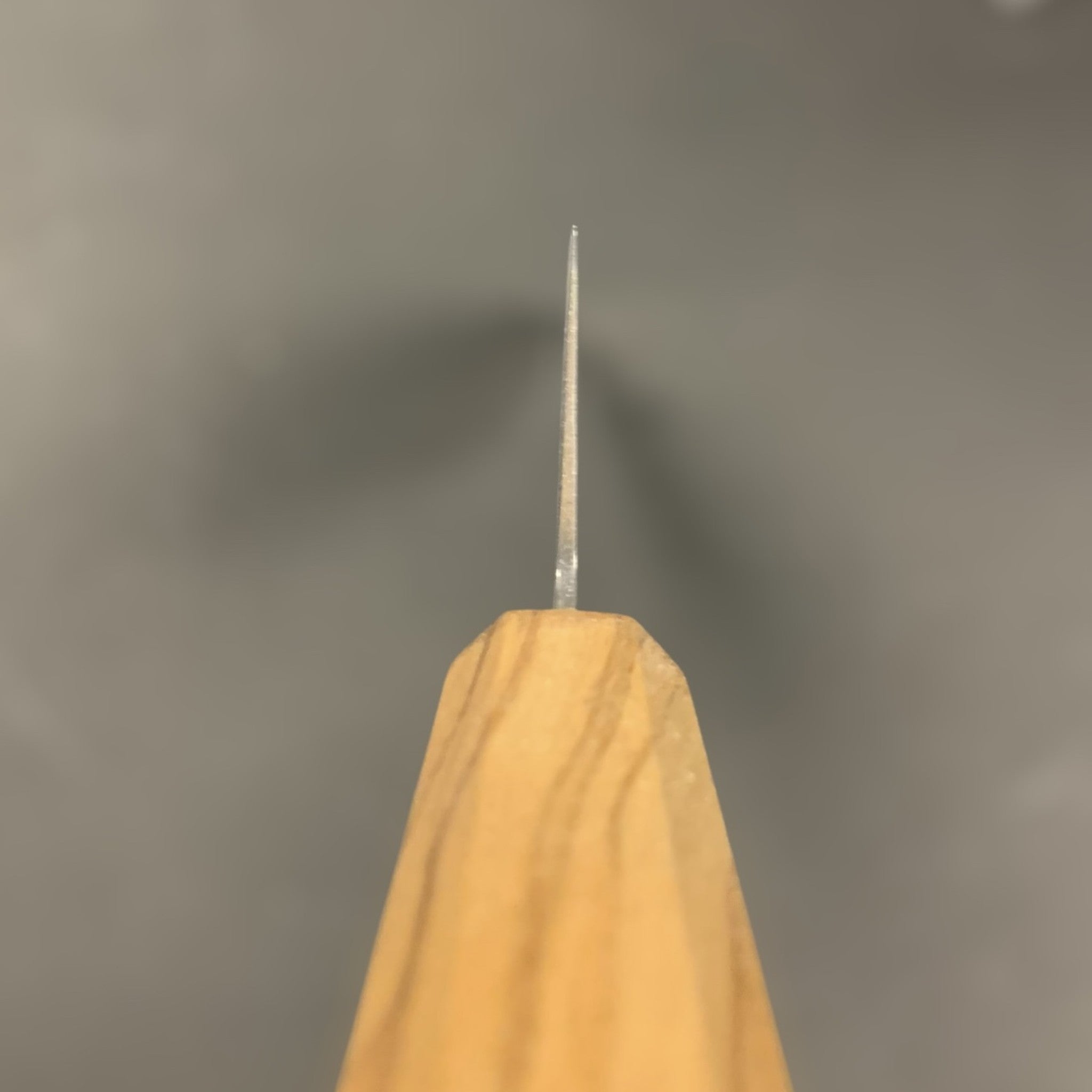 Hatsukokoro Kaijin Blue #2 Gyuto 210 mm, choil shot.