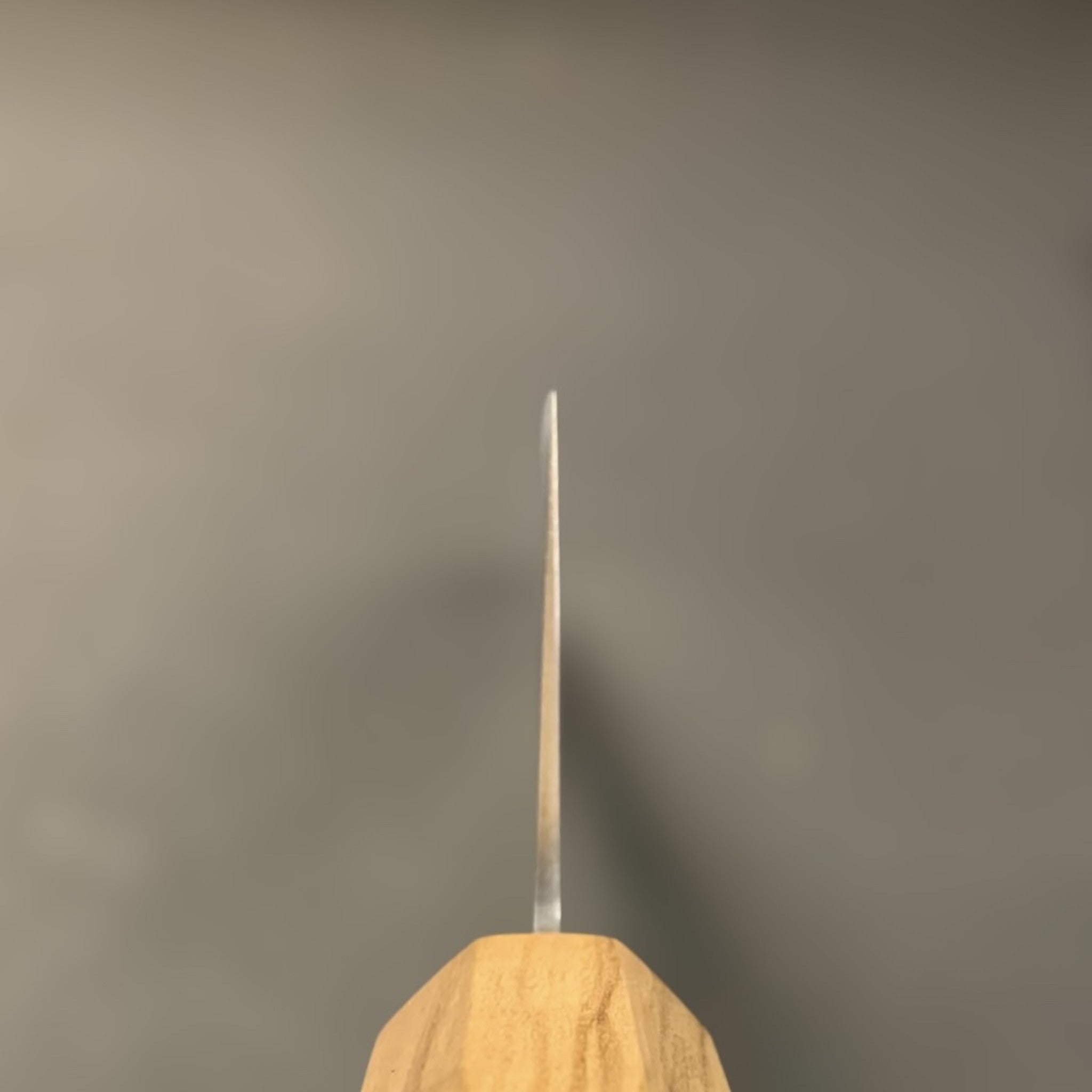 Hatsukokoro Kaijin Blue #2 Gyuto 240 mm, choil shot.