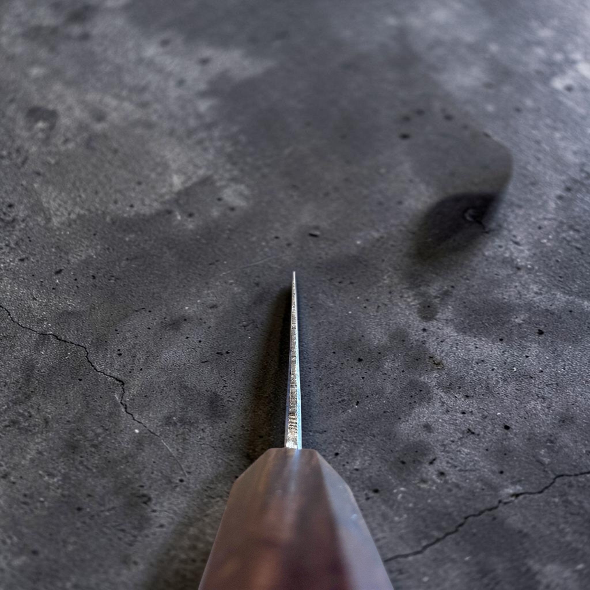 Hatsukokoro Kumokage Blue #2 Gyuto 240 mm with mono ebony handle, choil view showing thin blade grind and edge geometry.