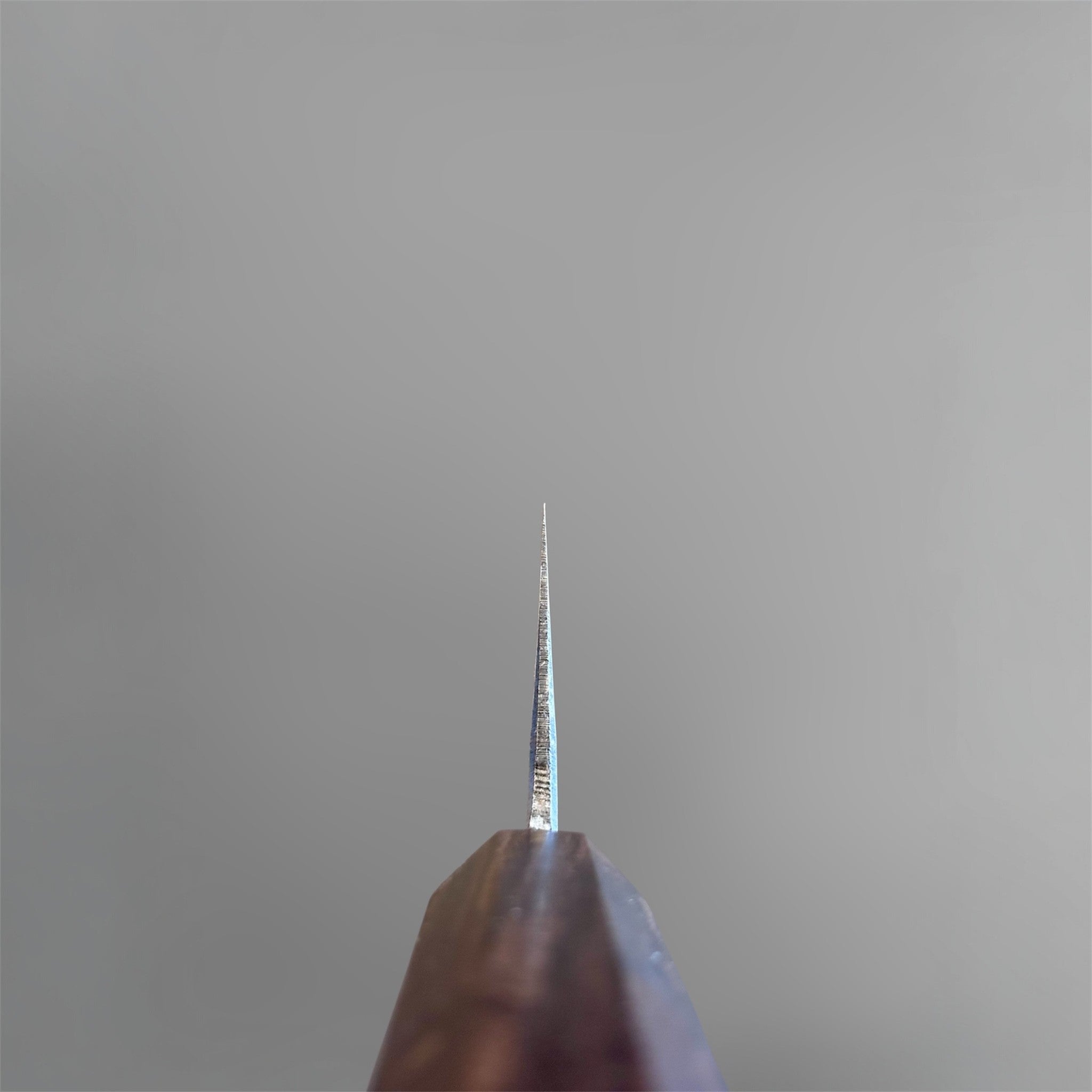 Hatsukokoro Kumokage Blue #2 Gyuto 240 mm with mono ebony handle, choil view showing thin blade grind and edge geometry.