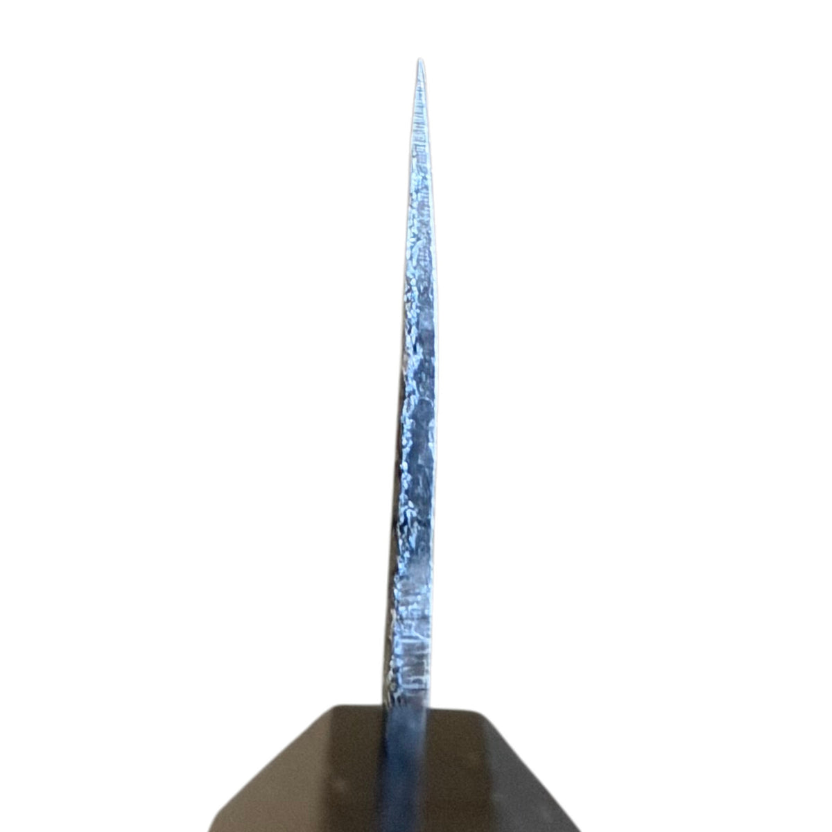 Choil view of the Hatsukokoro Kurogane Blue #2 Kurouchi Ko-Bunka 120mm with ebony handle, showing the blade cross-section and grind.