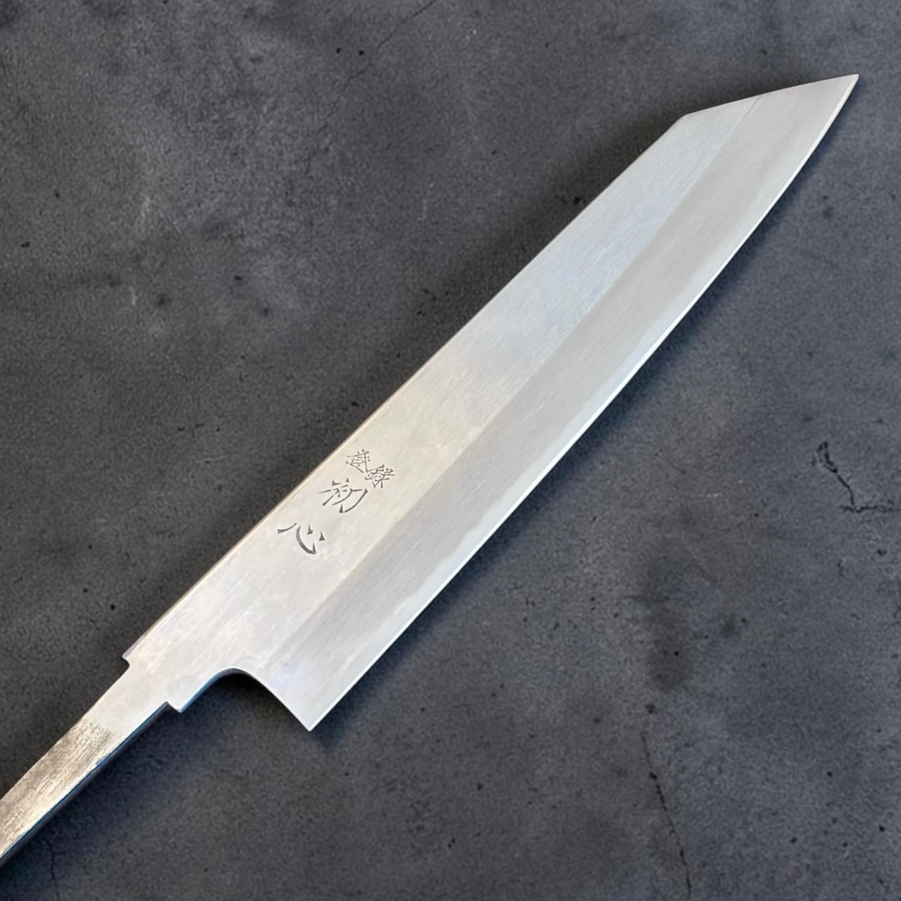 Front blade detail of Hatsukokoro Nakagawa Blue #1 Migaki Kiritsuke Gyuto 225mm
