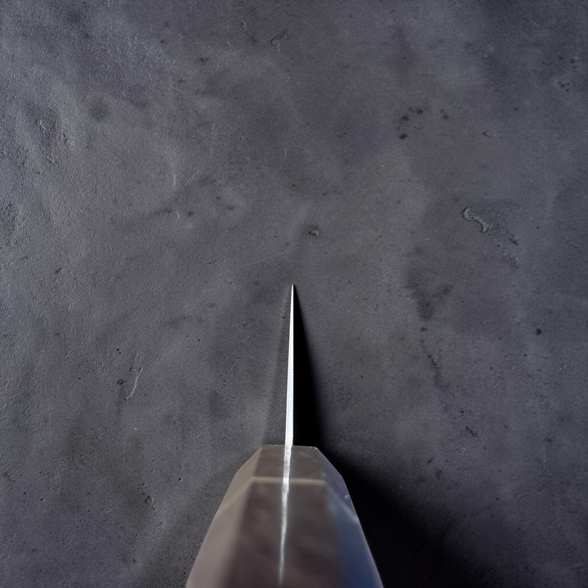 Choil view of the Hatsukokoro Ryuhyo SG2 Gyuto 210mm showing its thin grind and carbon fiber handle.