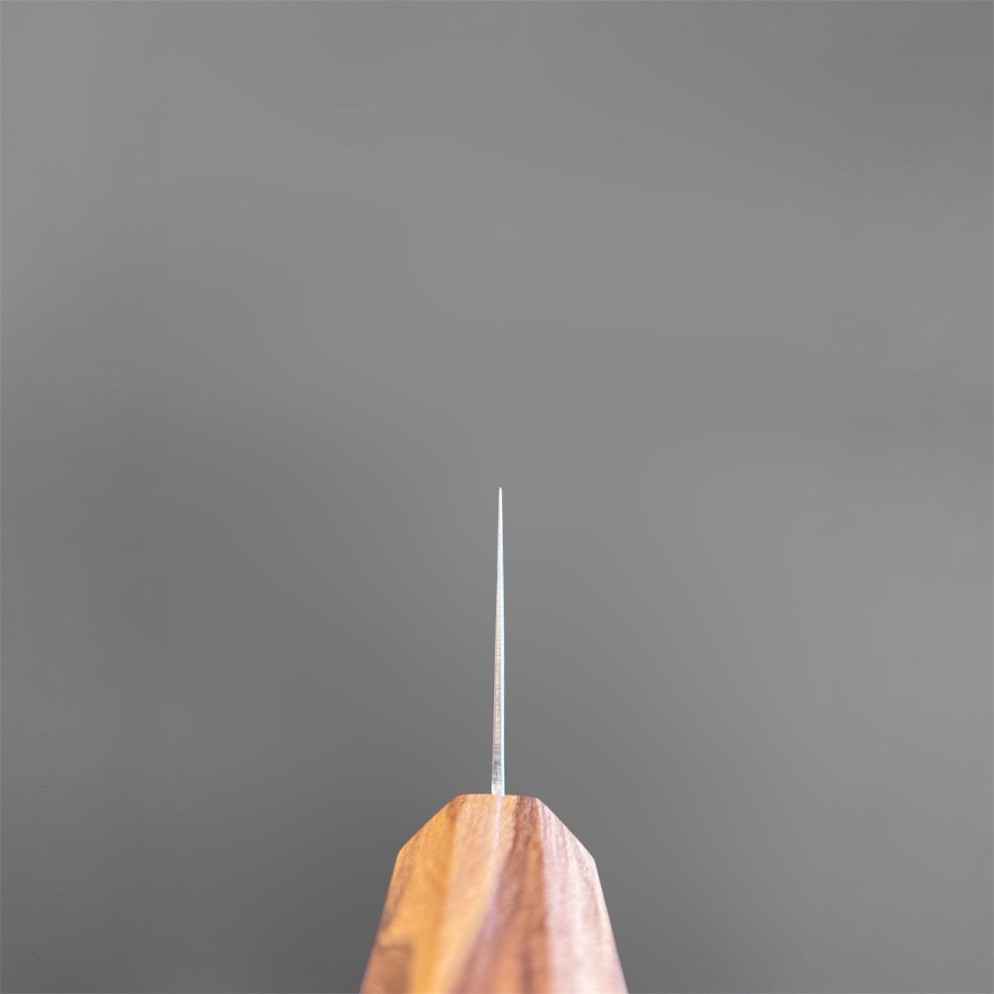 Hatsukokoro Ryuhyo SG2 Damascus Migaki Kiritsuke 240 mm, spine view from the olive wood handle showing the blade's thin geometry and precise alignment.