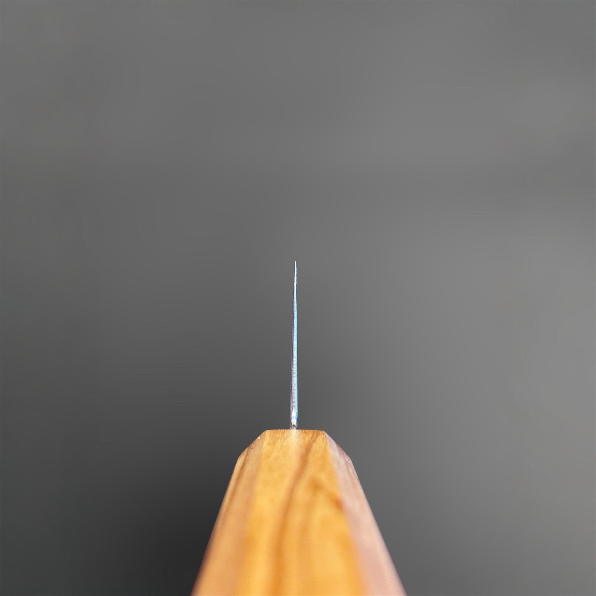 Hatsukokoro Saihyo SG2 Damascus Gyuto 210 mm with mono olive handle, spine view showing thin blade geometry and handle alignment.