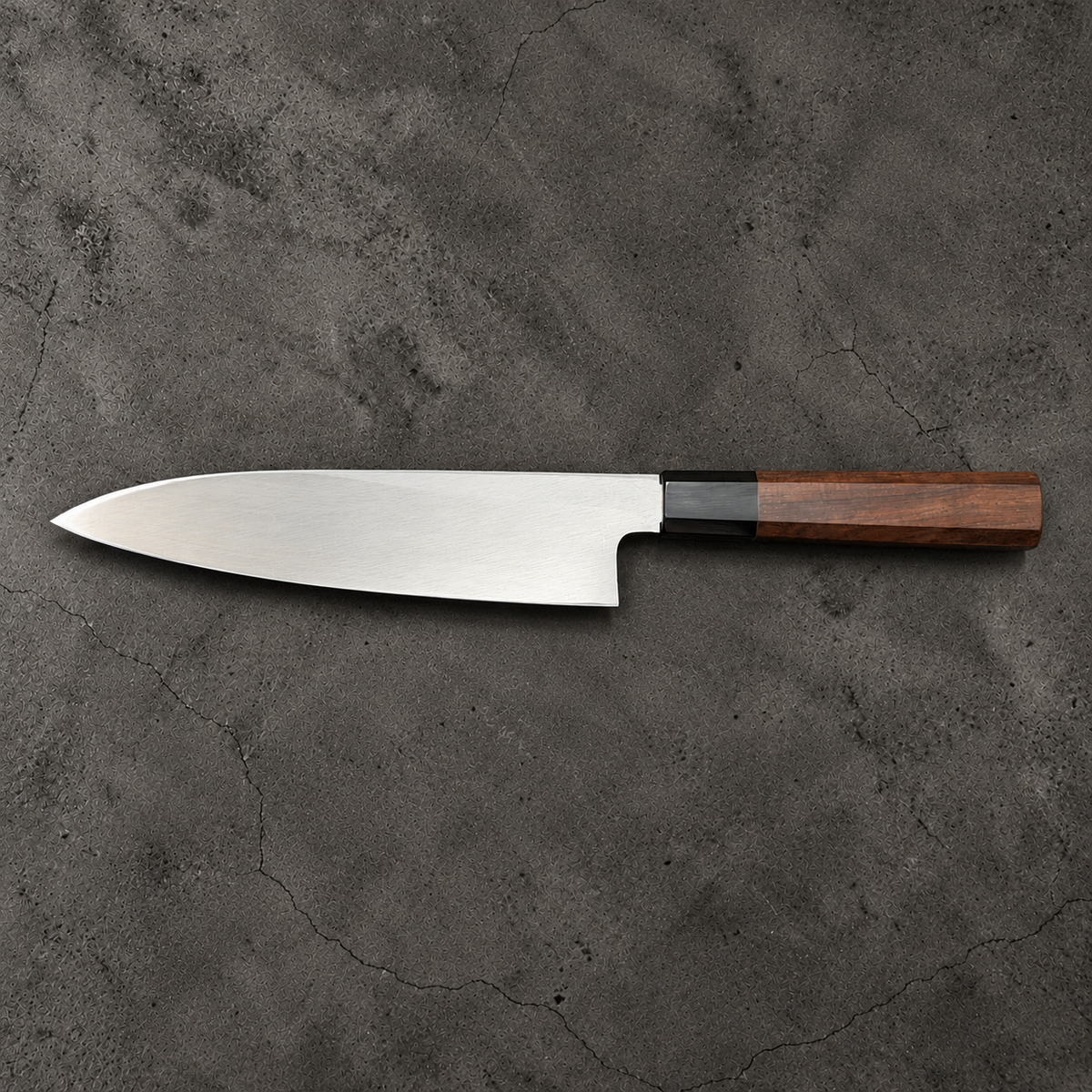 Hatsukokoro Shirasagi 210mm single bevel gyuto, full reverse side profile