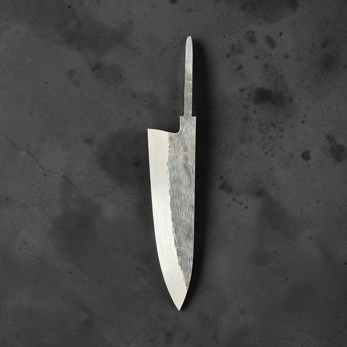 Isamitsu 210mm gyuto blade-only profile with tang pointing upward