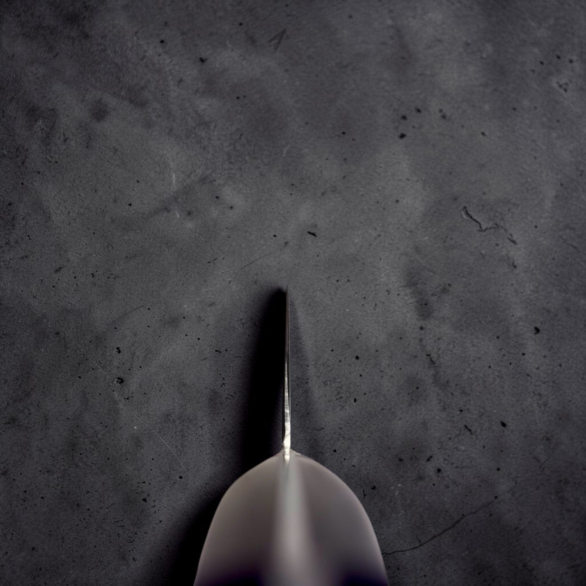 Ittetsu AS Santoku 180 mm choil shot