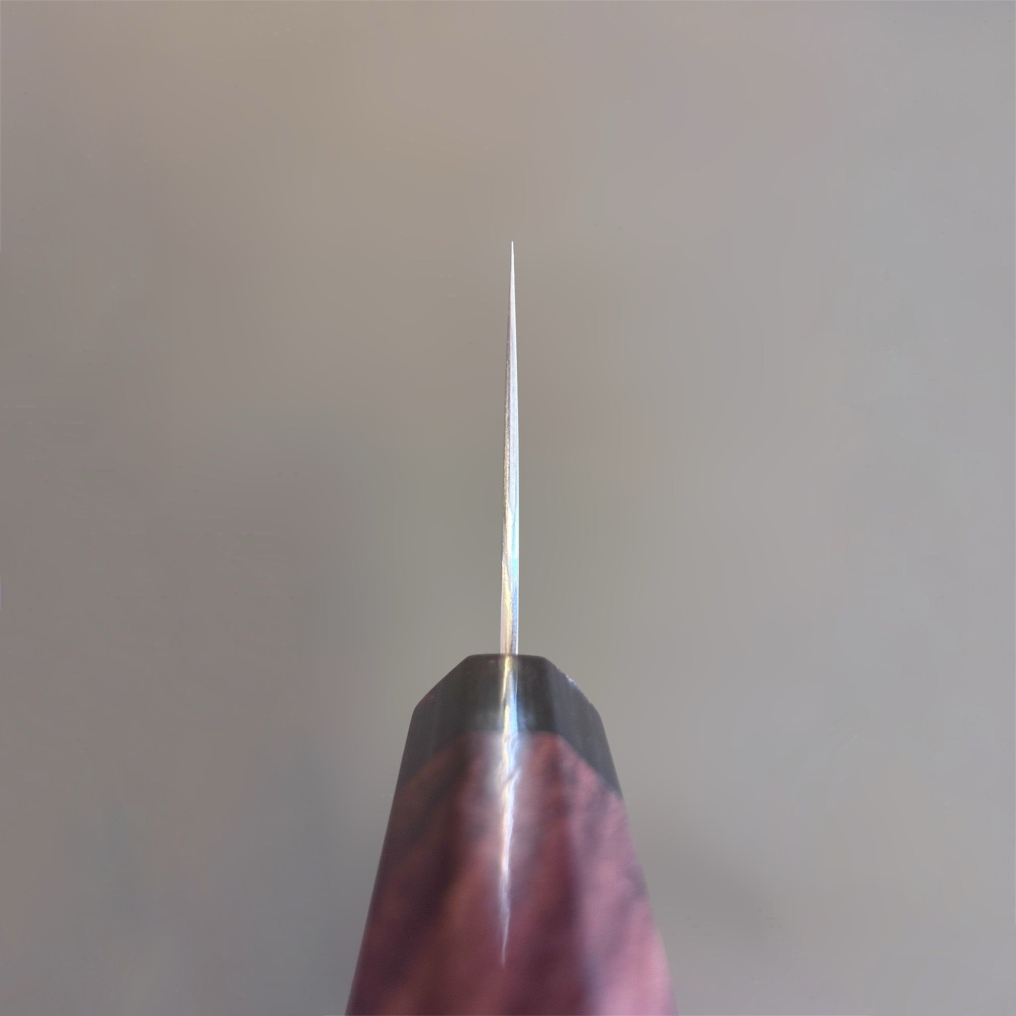 Koutetsu SG2 Boss Bunka, full profile view with angular bunka tip and choil shot. 