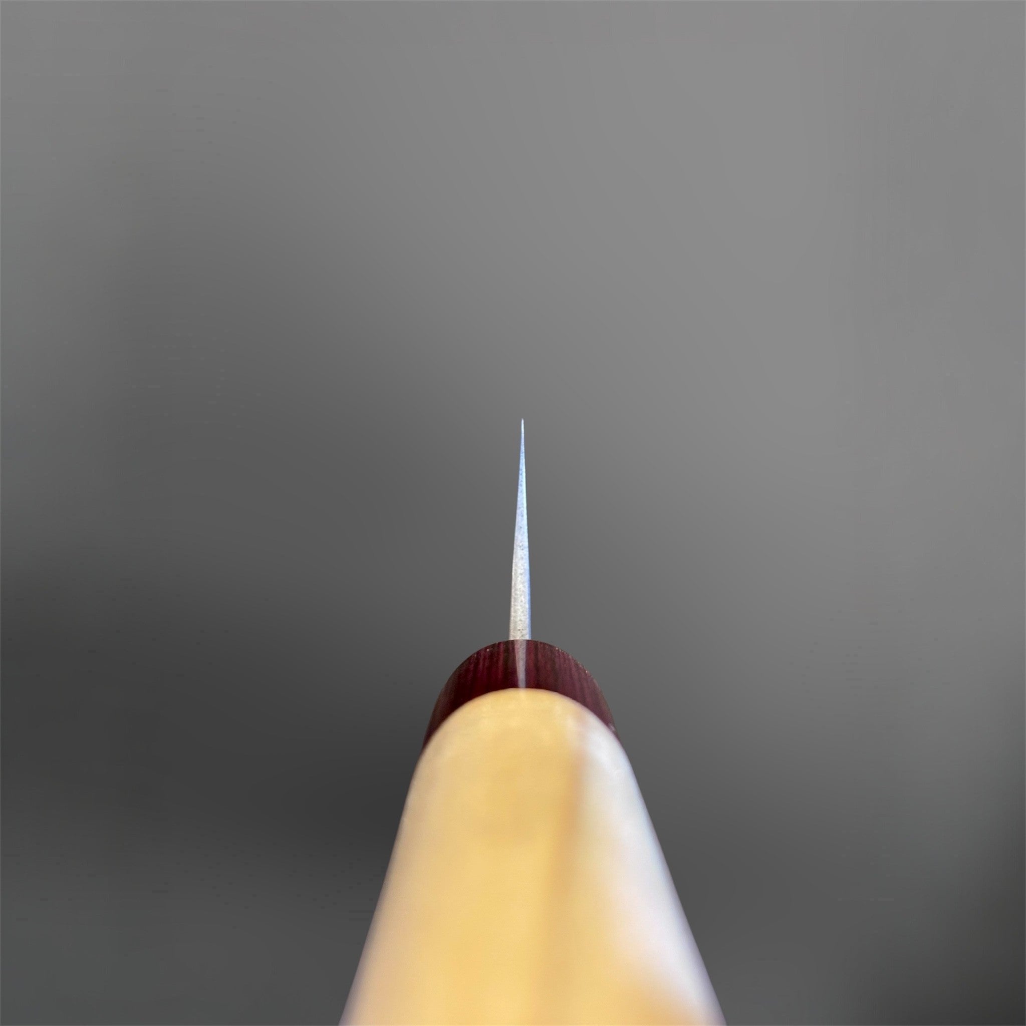 Masakage Yuki Sujihiki 270 mm, choil view showing the thin grind, spine, and wa handle alignment.