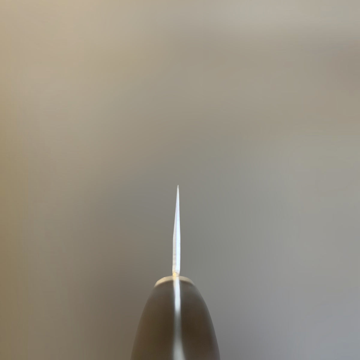 Masutani Sekka VG10 Nashiji Santoku 170mm choil view showing the thin grind