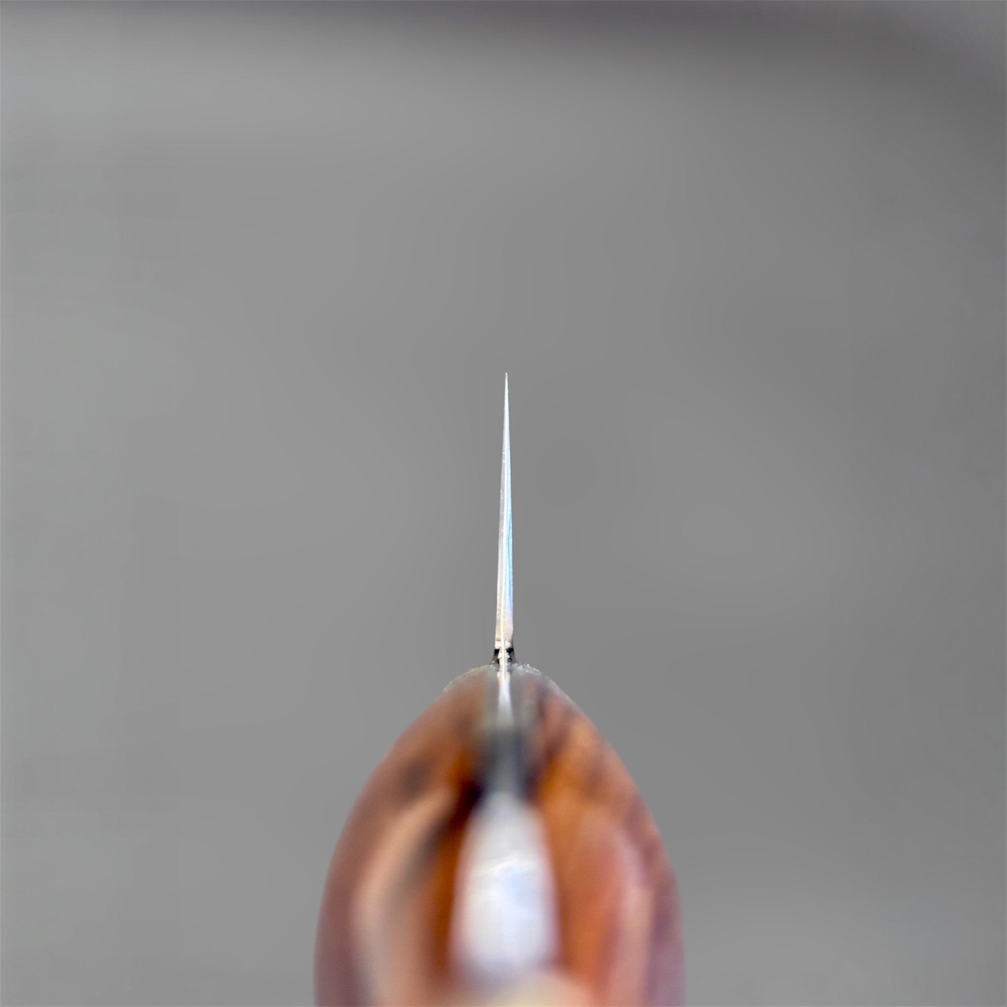 Nigara Hamono Anmon SG2 210 mm Gyuto with ironwood western handle, choil view showing thin edge geometry and ironwood handle.