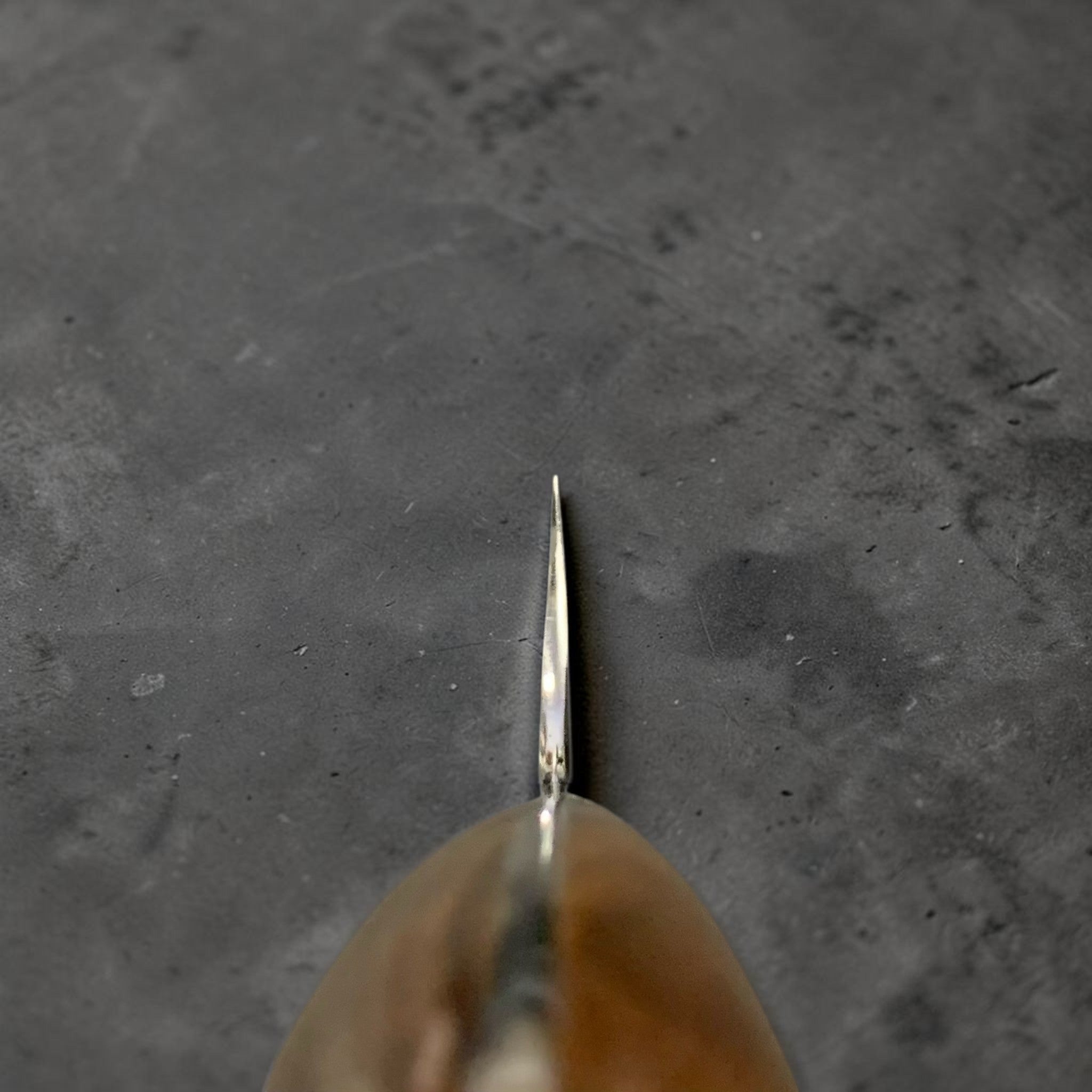 Nigara Hamono SG2 Kurouchi Tsuchime Sakimaru Sujihiki 270 mm, spine view near the handle showing the distal taper of the SG2 core.