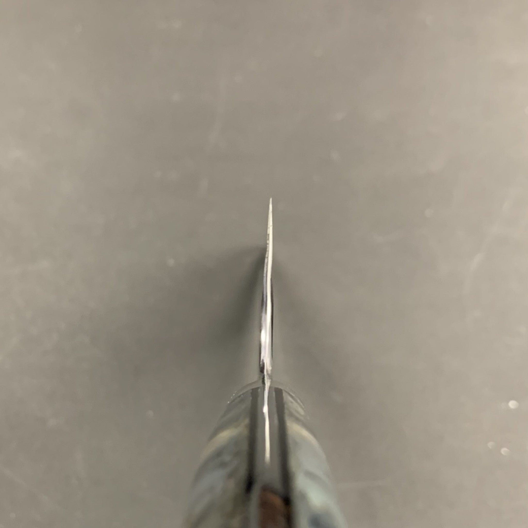 Nigara SG2 Kurouchi Tsuchime Kiritsuke 240 mm, choil shot