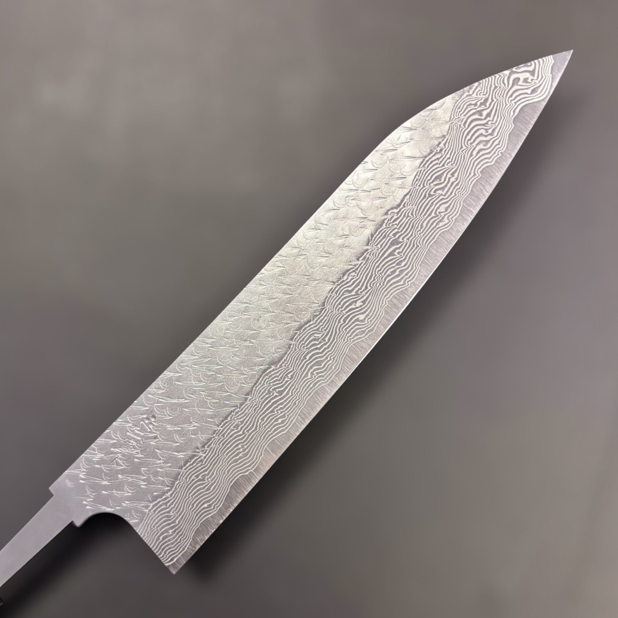 Nigara SG-STRIX Gyuto SG2 210 mm, close-up of the Damascus ‘Strix’ pattern near the tip (no handle).